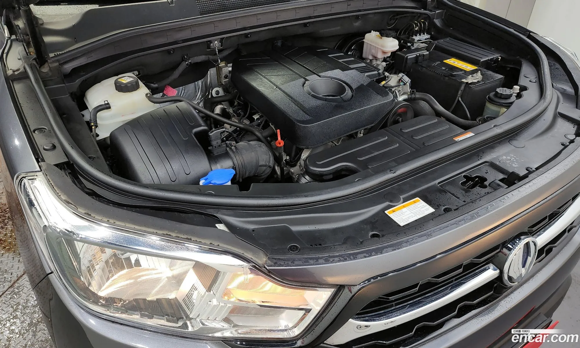 Kg Mobility Ssangyong Rexton Sports Diesel 22 2Wd Wild - фотография 4645522
