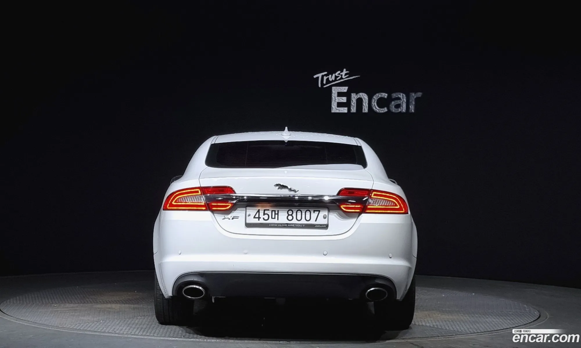 Jaguar New Xf 20 Luxury X250 - фотография 4482510