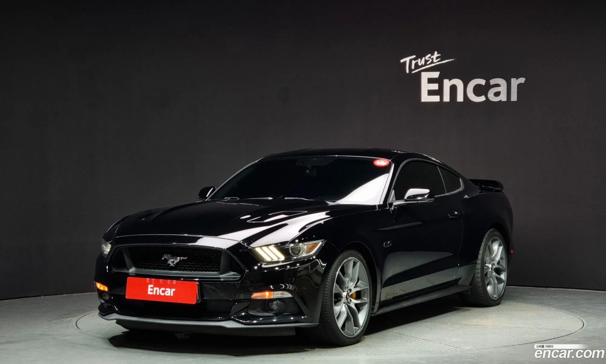 Ford Mustang Gt Coupe - фотография 17386091