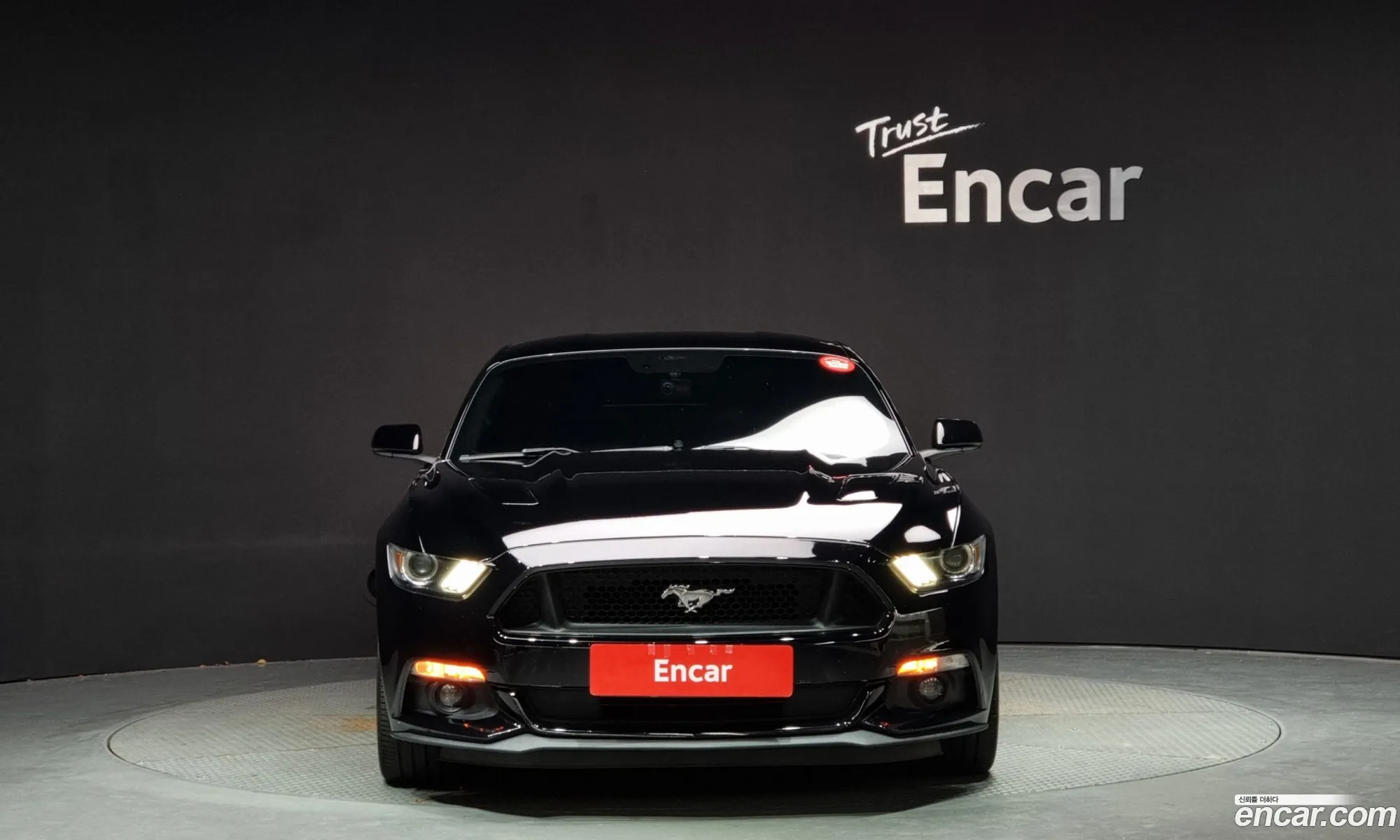 Ford Mustang Gt Coupe - фотография 17386093
