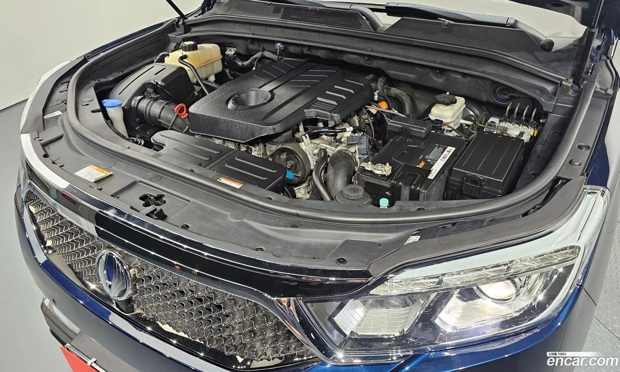 Kg Mobility Ssangyong G4 Rexton Diesel 22 4Wd Eurasia Edition - фотография 4593559