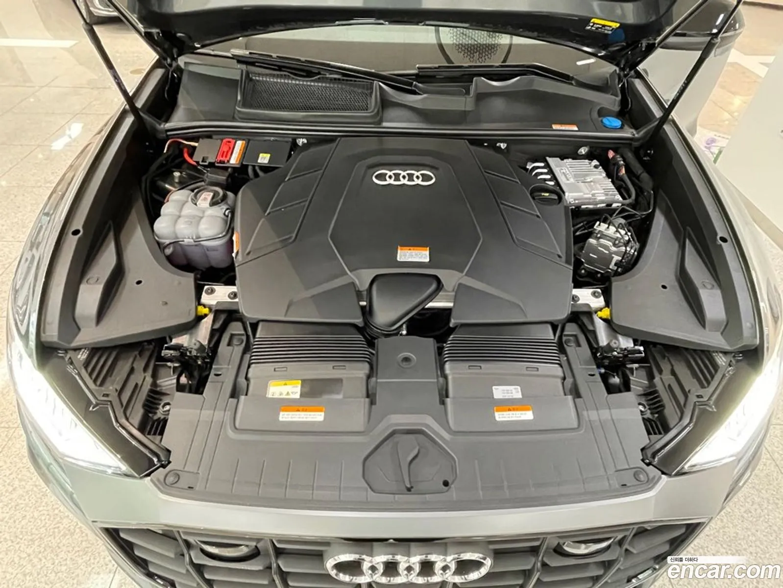 Audi Q8 4M 55 Tfsi Quattro Premium - фотография 12660189