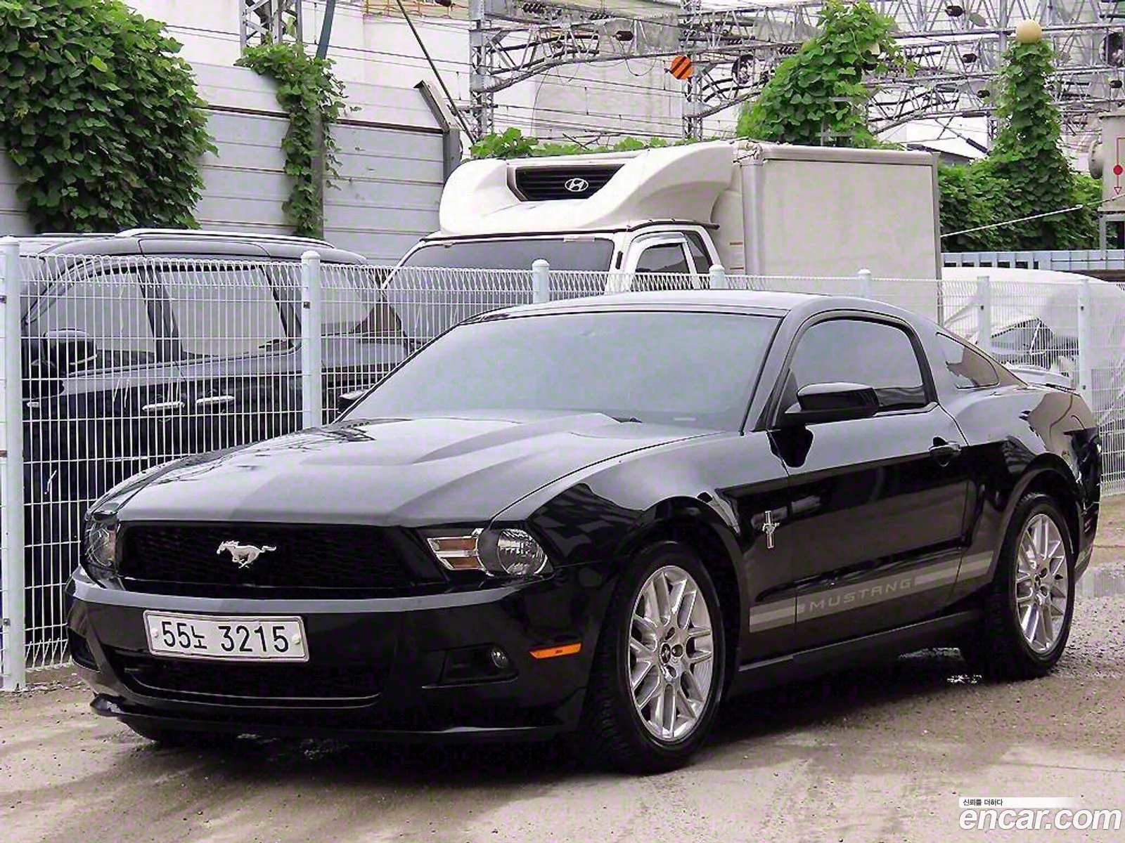 Ford Mustang Coupe - фотография 17386115