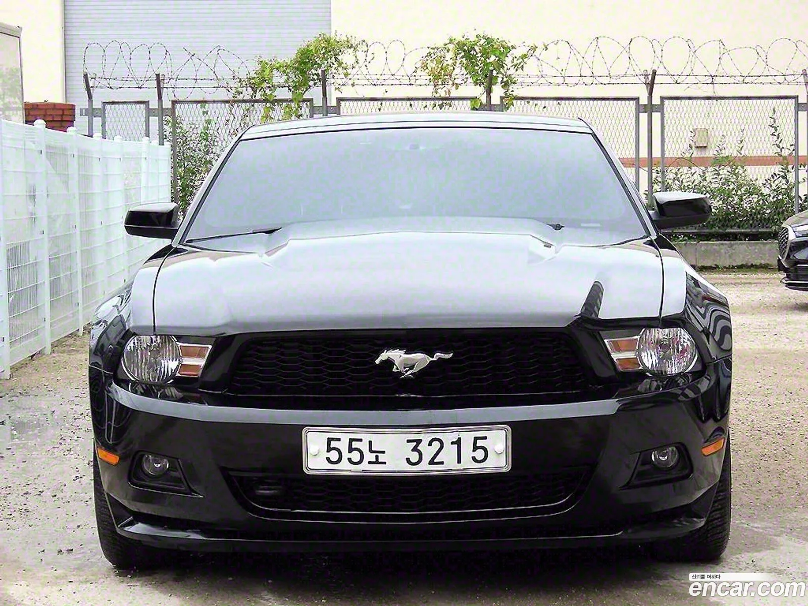 Ford Mustang Coupe - фотография 17386116