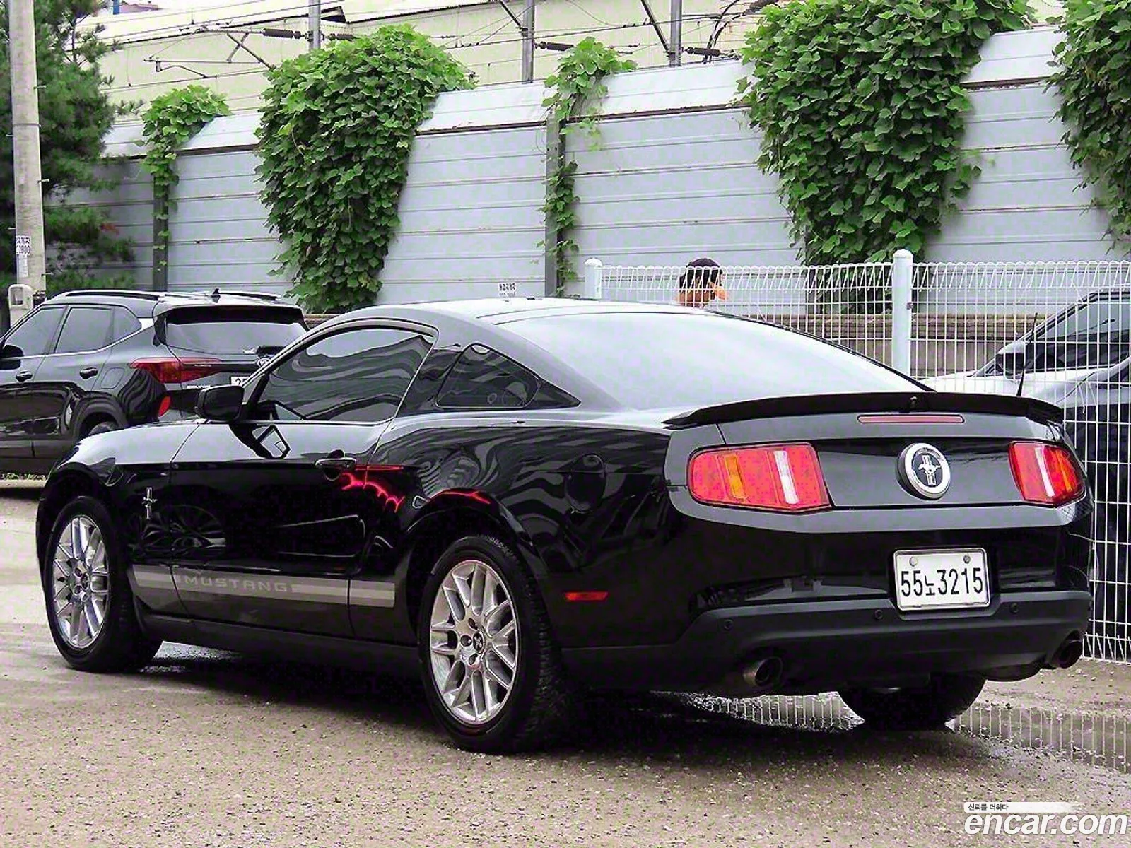 Ford Mustang Coupe - фотография 17386117