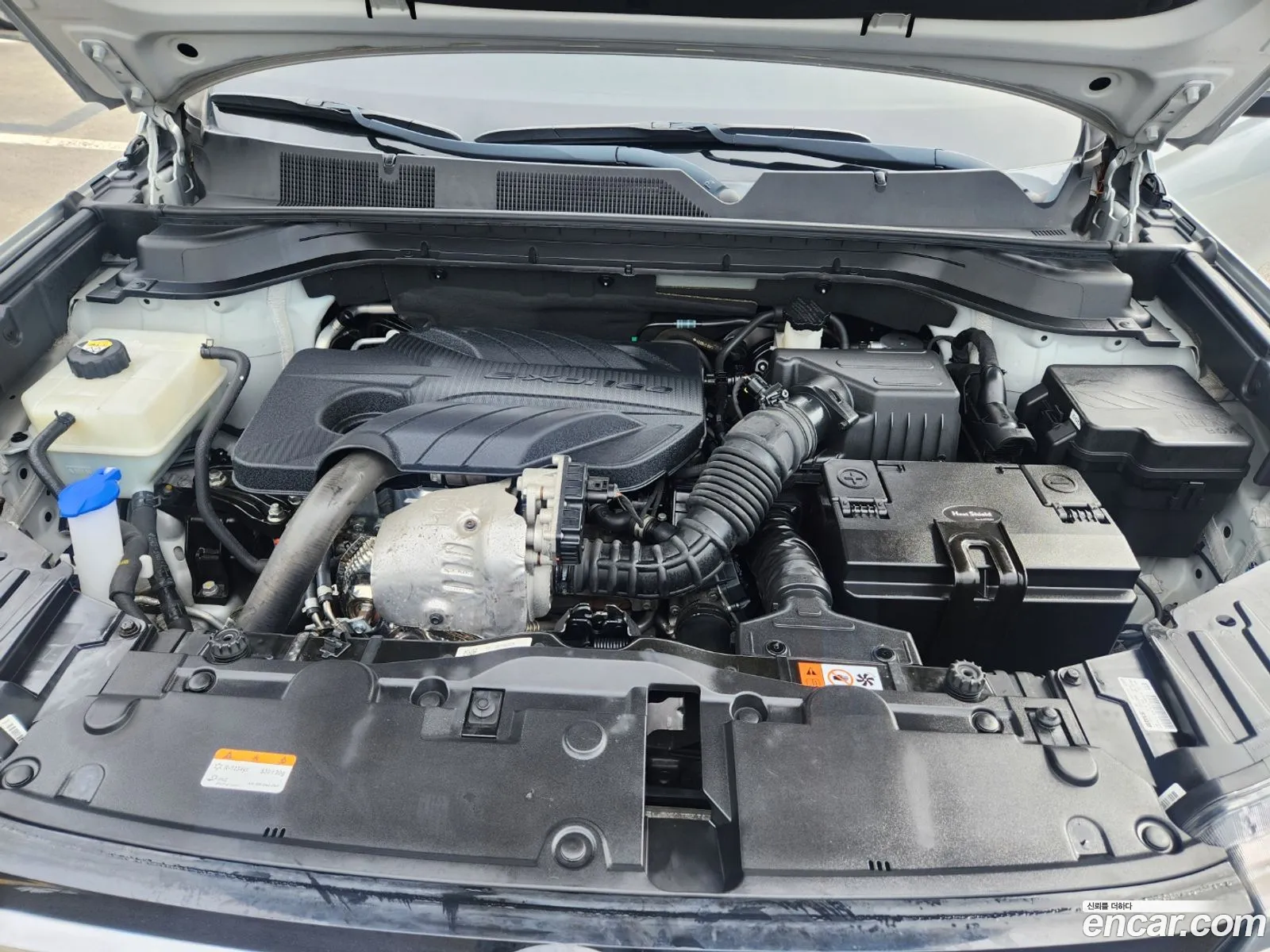 Kg Mobility Ssangyong Beautiful Korando Diesel 16 2Wd Delight - фотография 4616682