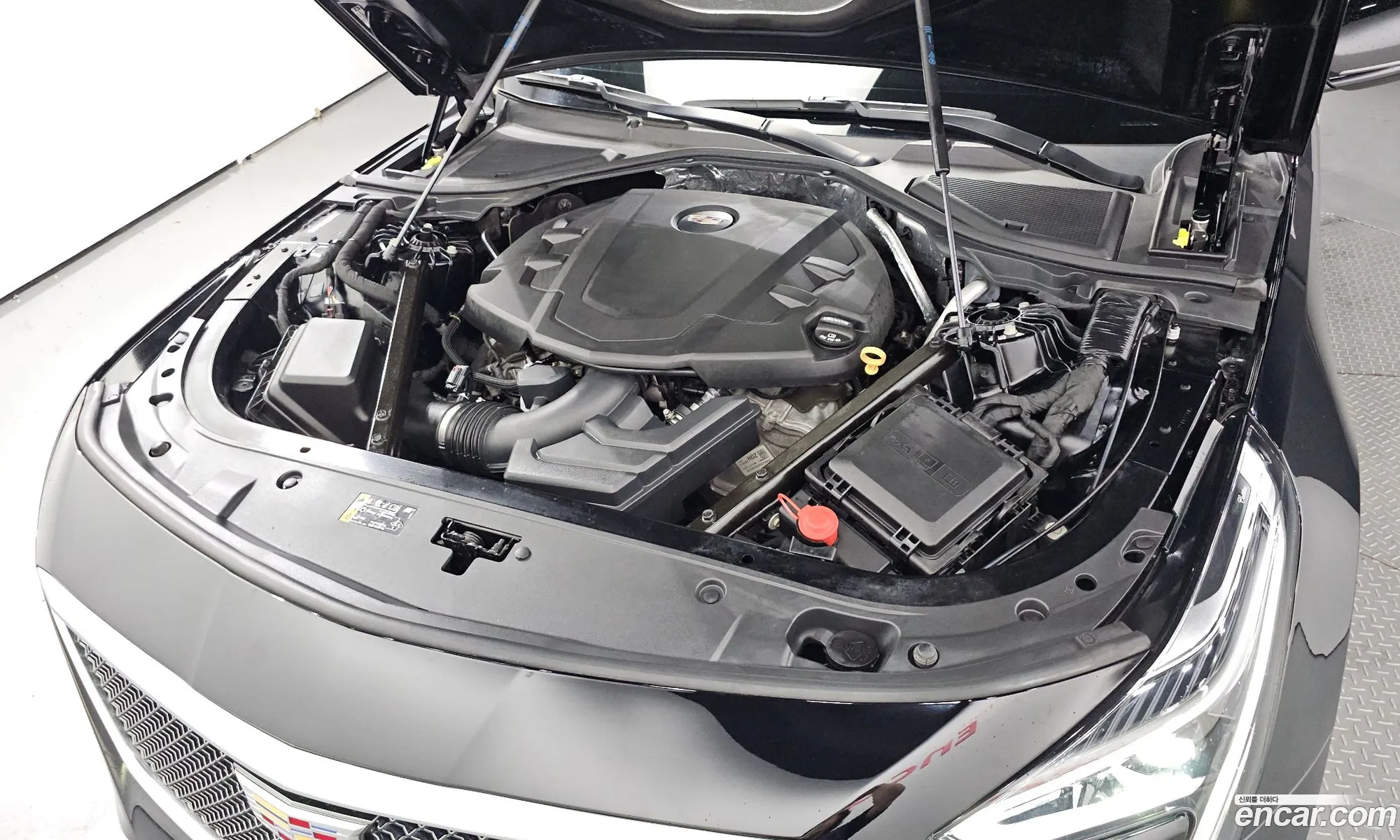 Cadillac Ct6 36 Sports Awd - фотография 4784294