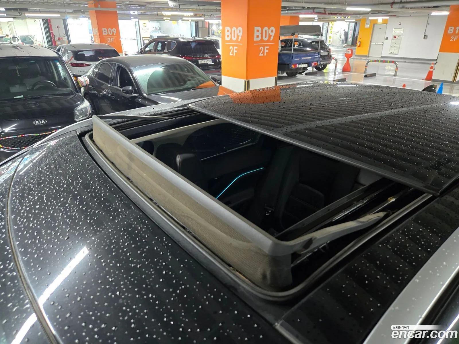 Korex Auto Trade - фотография 4519113