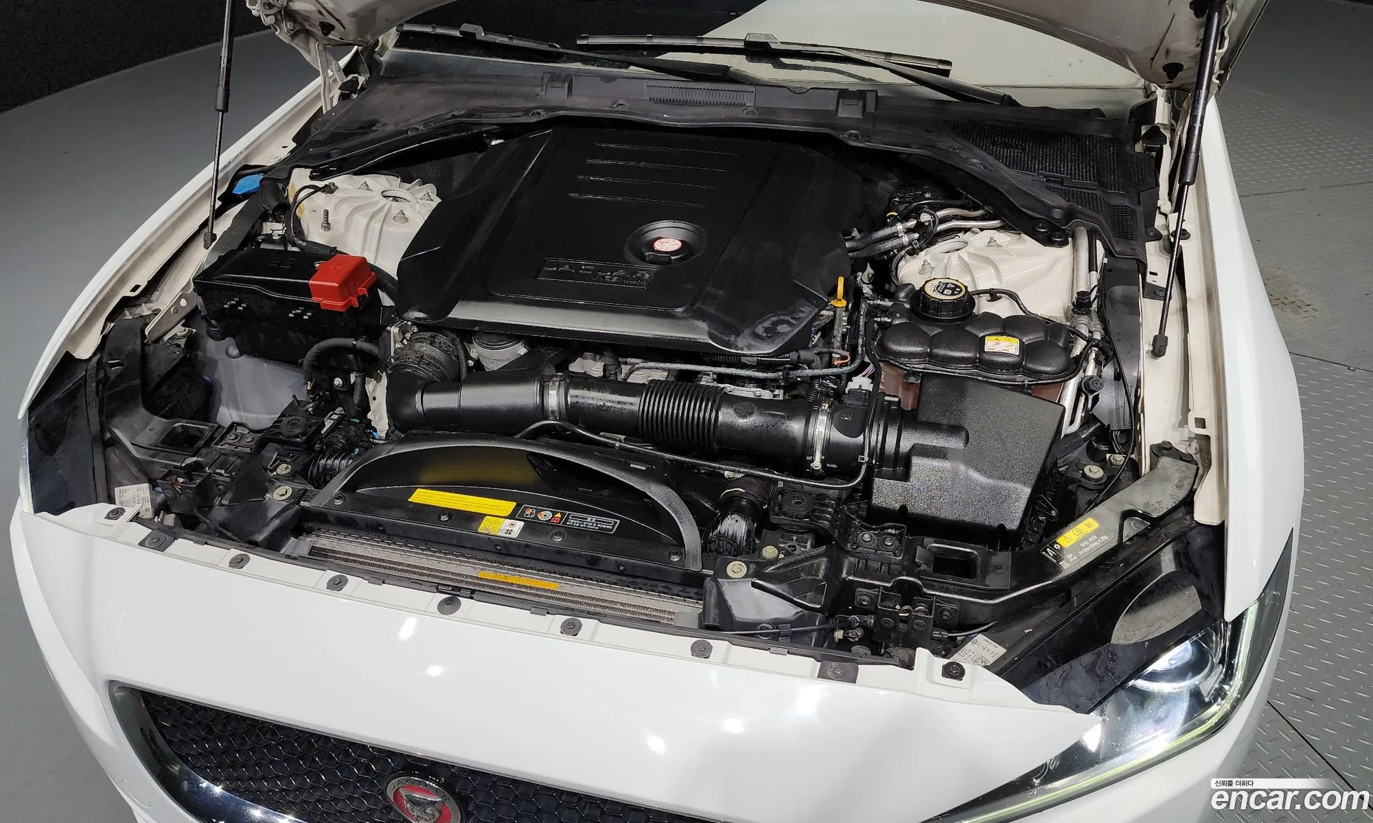 Jaguar Xe 20D Portfolio - фотография 4482488