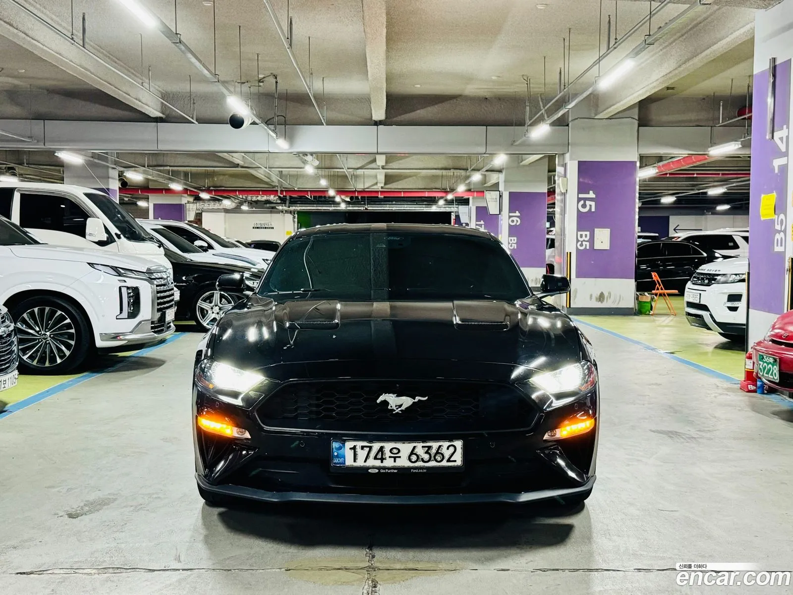 Ford Mustang Coupe - фотография 17386103