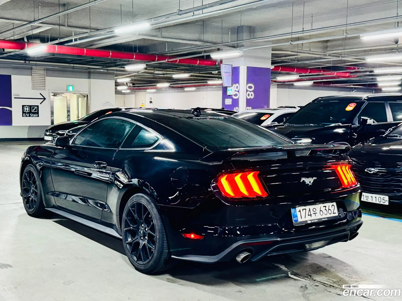 Ford Mustang Coupe - фотография 17386105