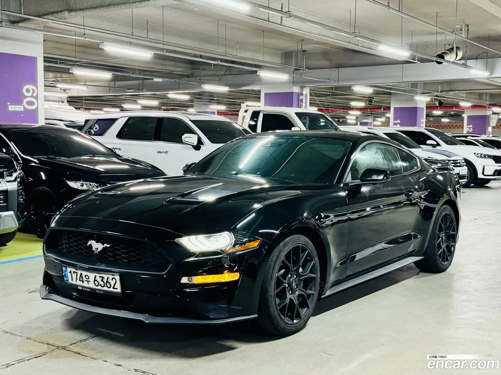 Ford Mustang Coupe - фотография 17386106