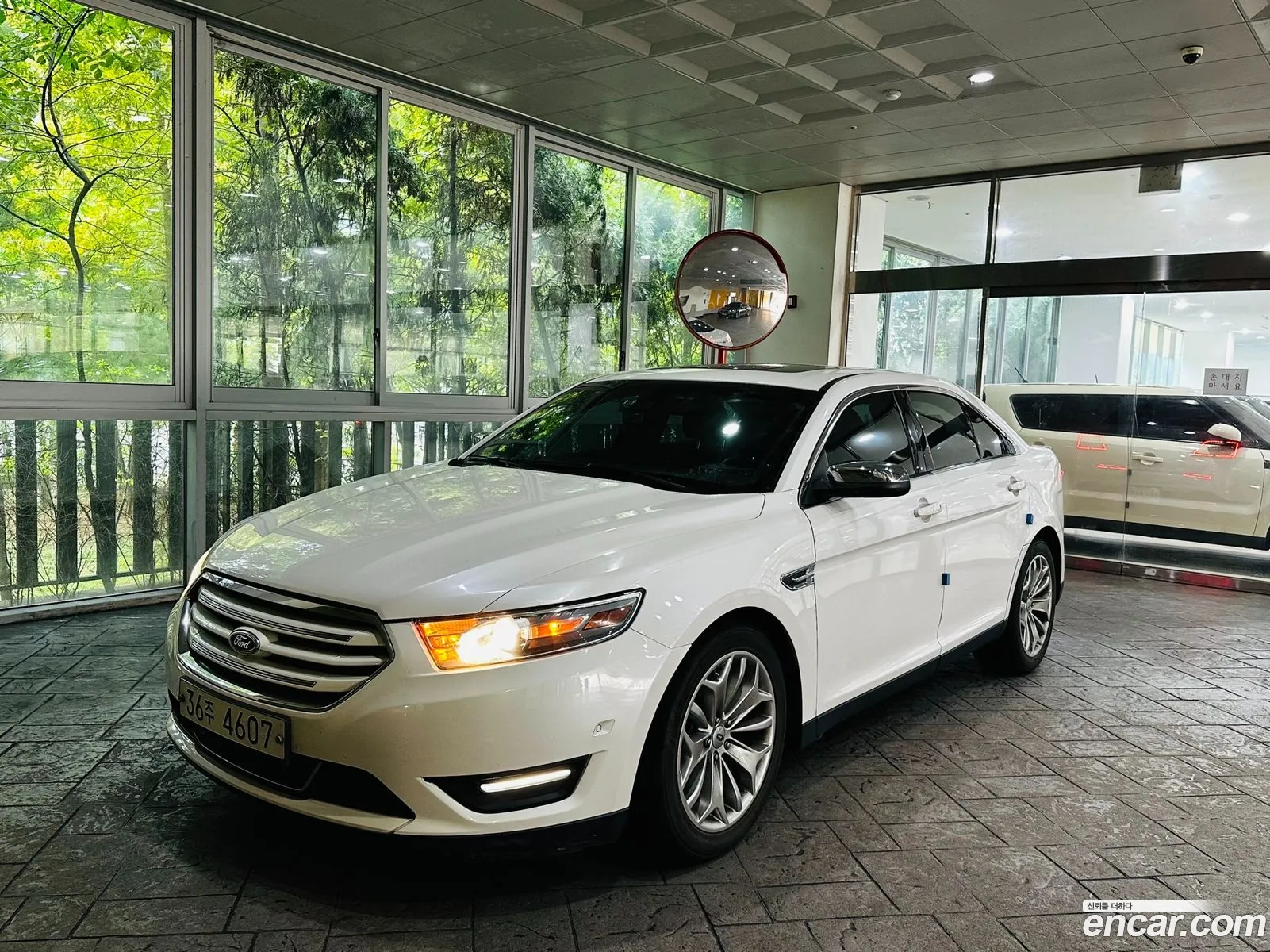 Ford New Taurus 20 Limited Ecoboost 6Th Generation - фотография 17386069