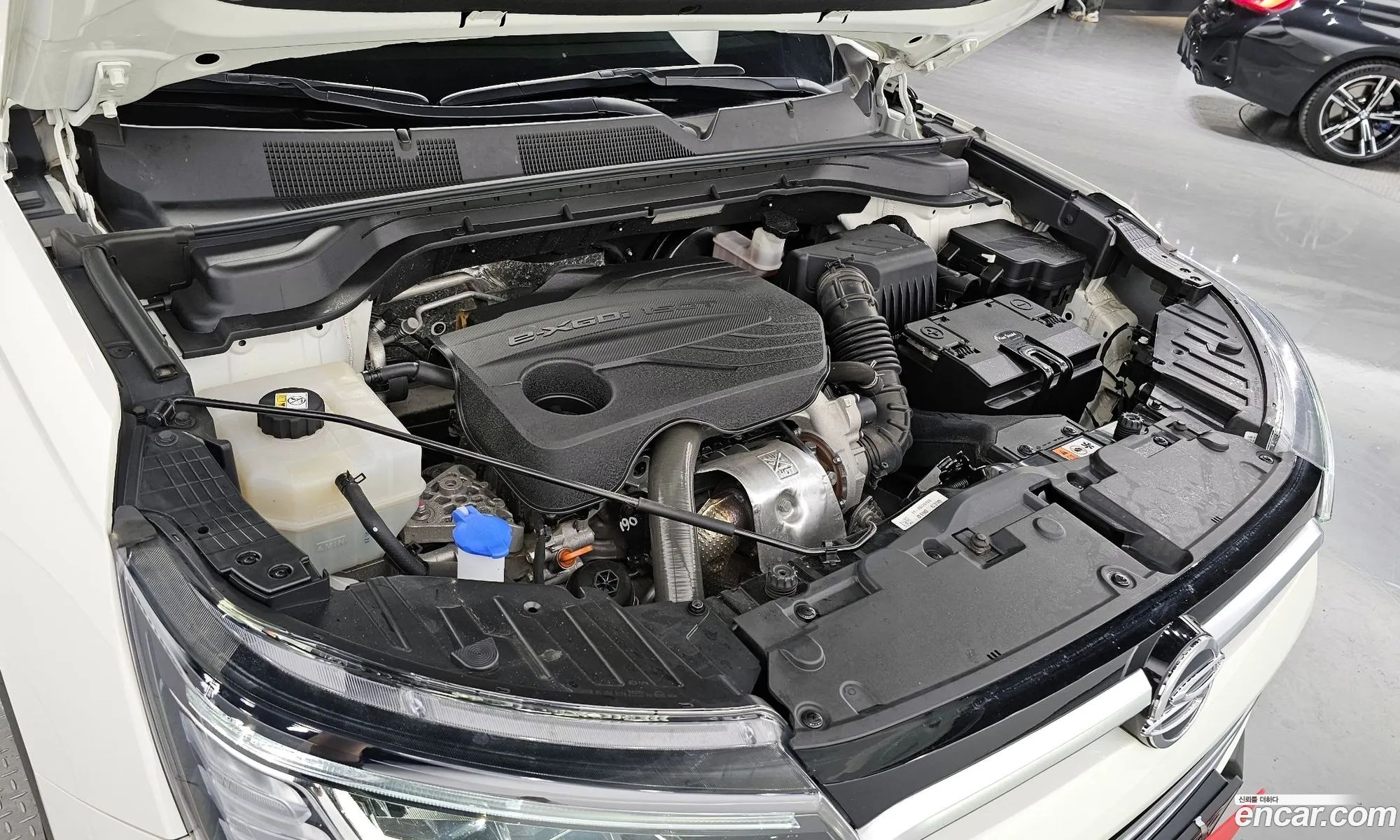 Kg Mobility Ssangyong Beautiful Korando Gasoline 15 2Wd C5 Plus - фотография 4243581