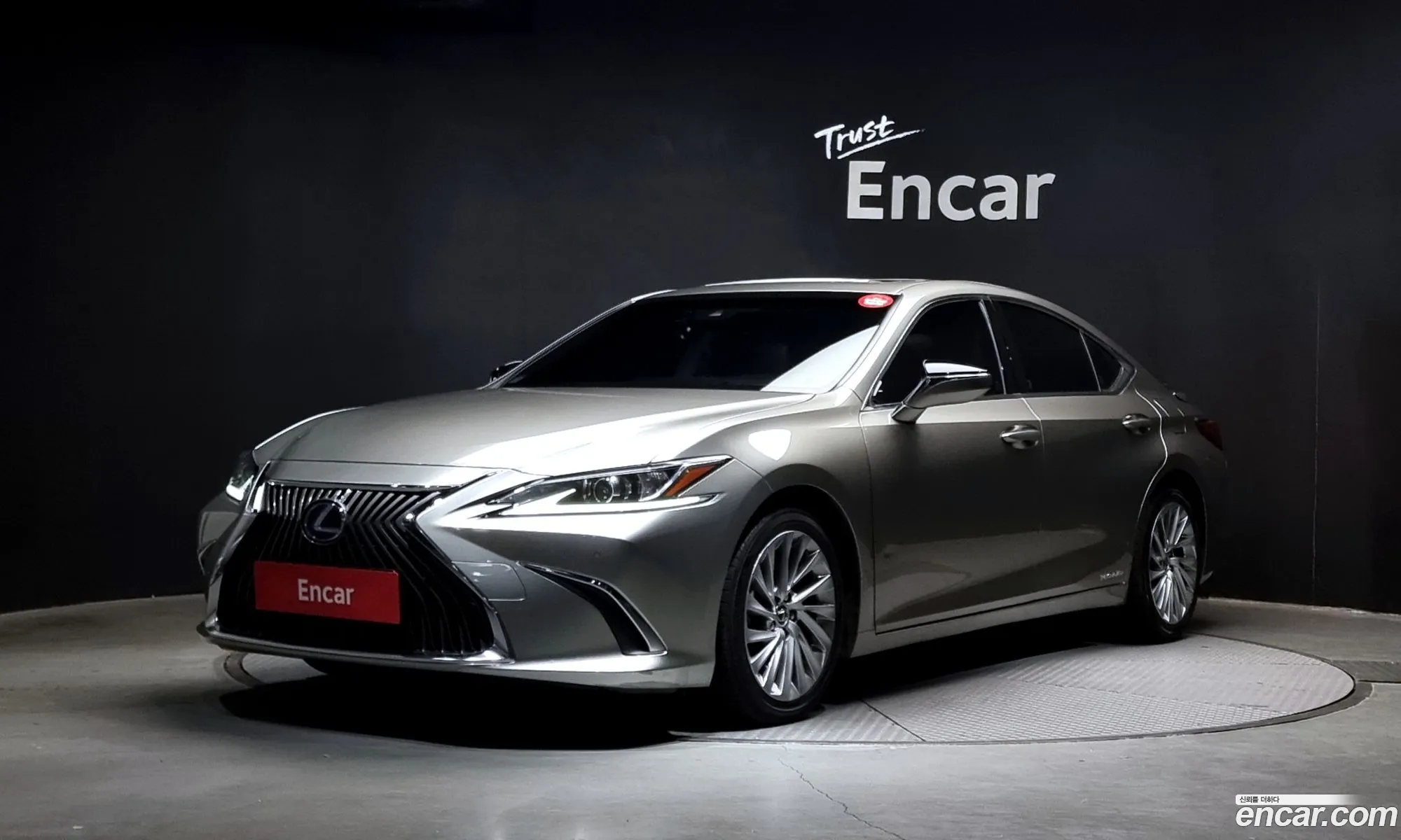 Lexus Es300H 7Th Generation Luxury Plus - фотография 6539287