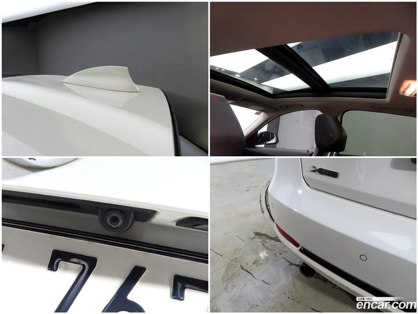 Korex Auto Trade - фотография 12079416