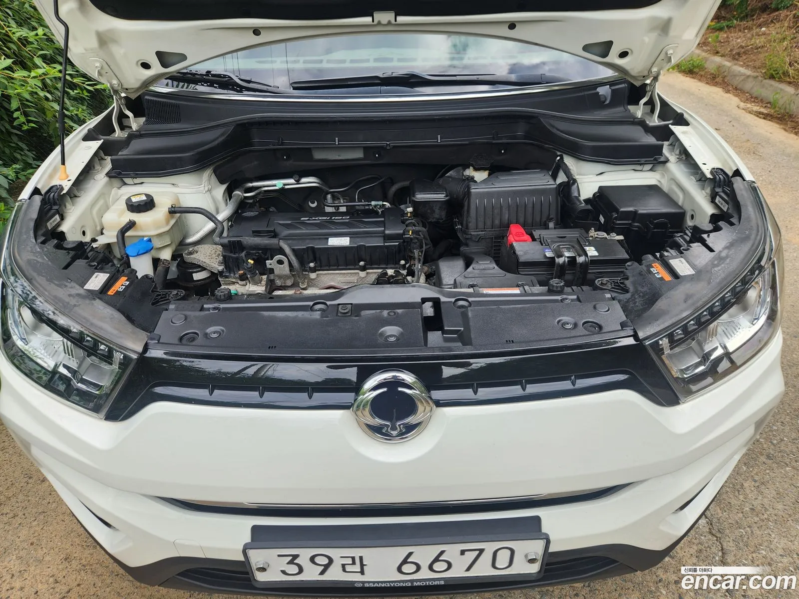 Kg Mobility Ssangyong Tivoli Armor Gear Edition 2Wd - фотография 3955351