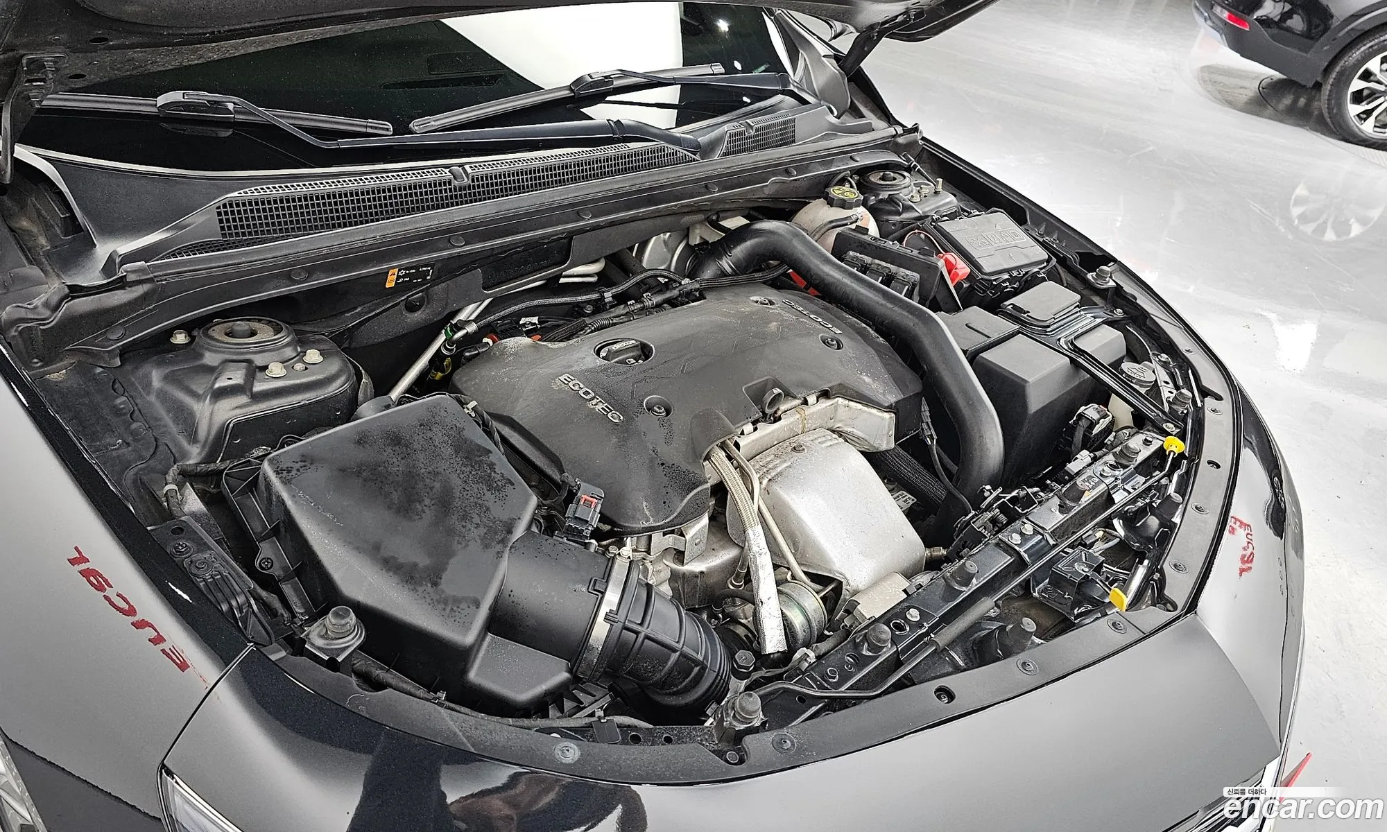 Korex Auto Trade - фотография 7797878