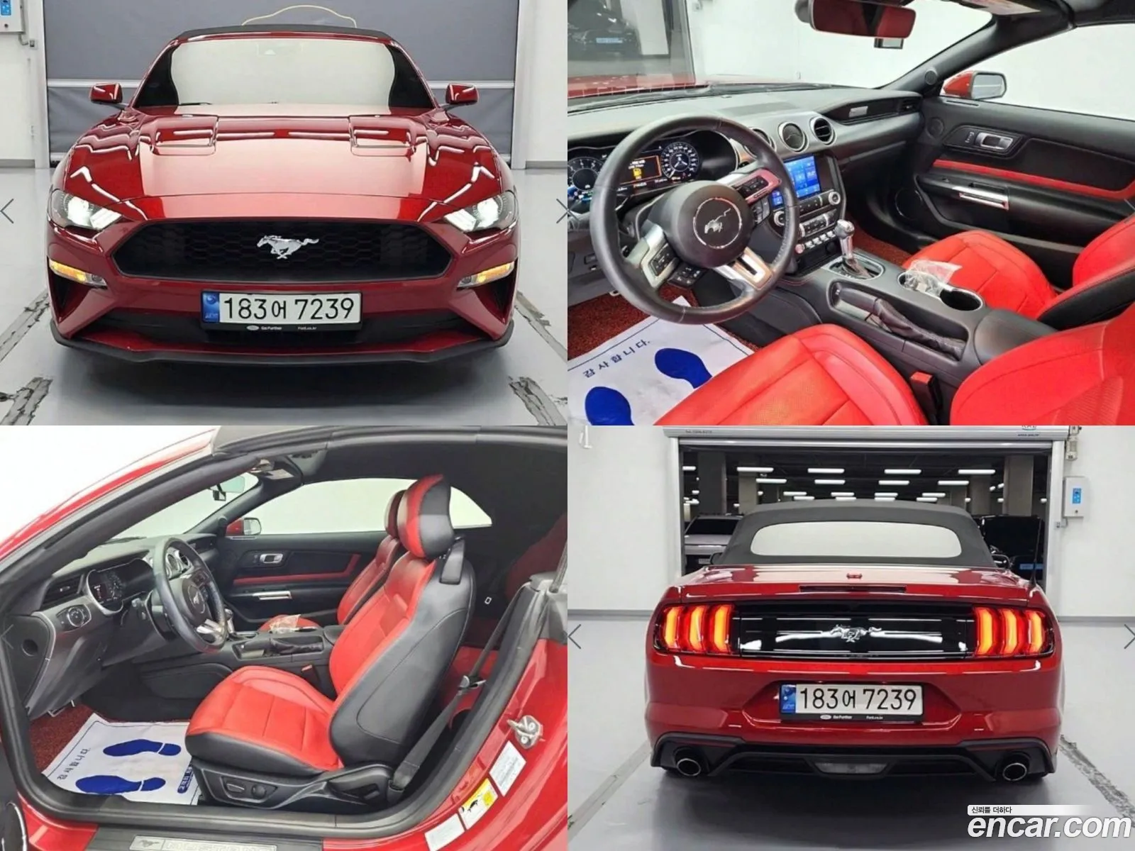 Ford Mustang Convertible - фотография 18059666