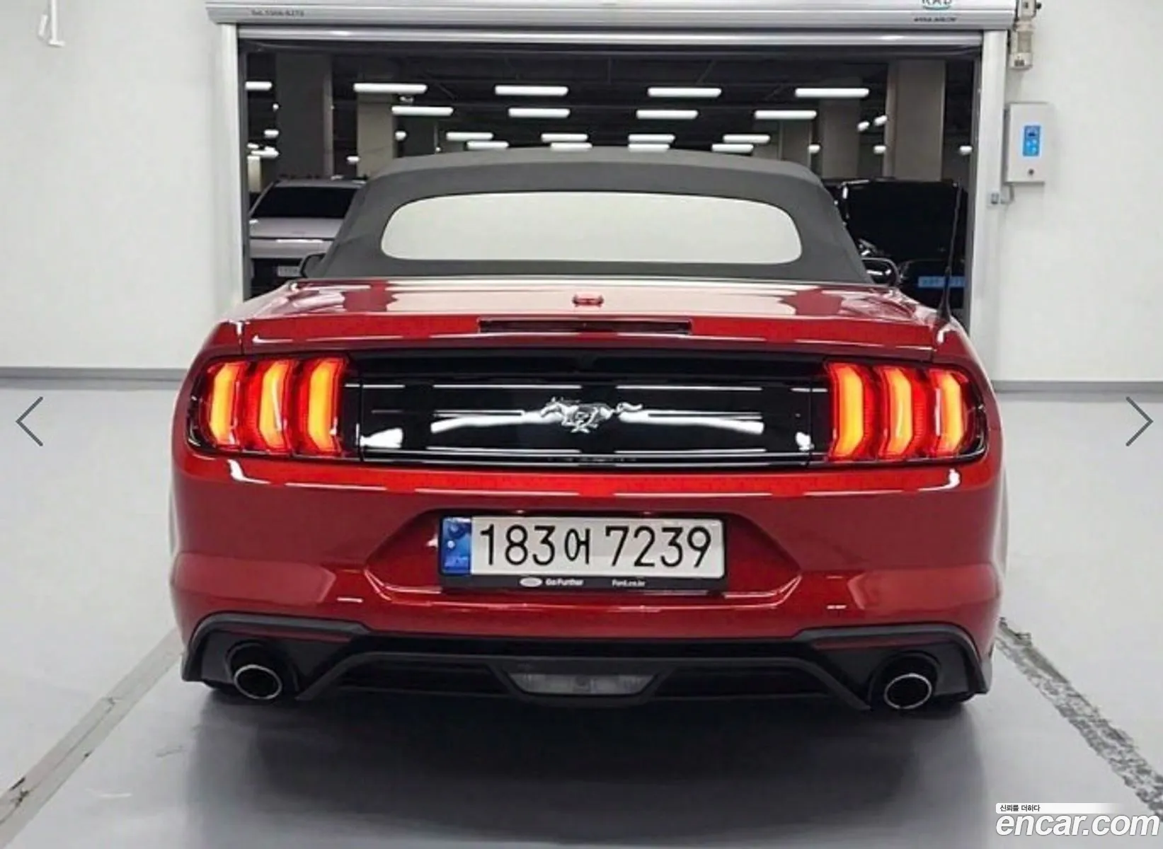 Ford Mustang Convertible - фотография 18059667