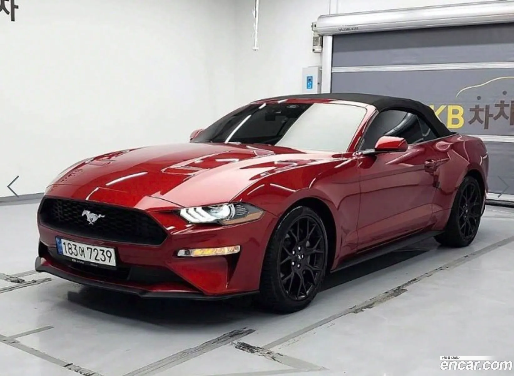 Ford Mustang Convertible - фотография 18059668