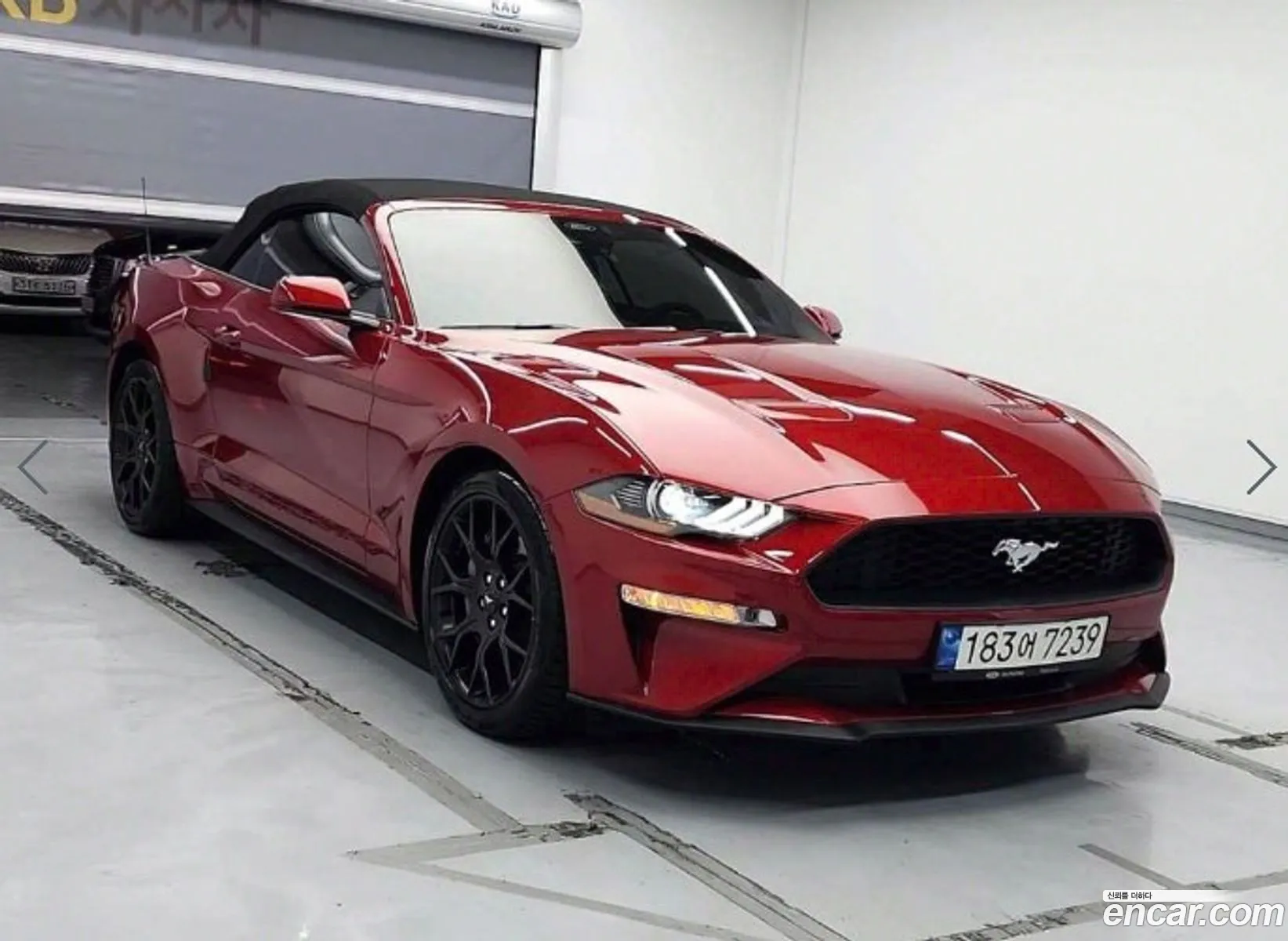 Ford Mustang Convertible - фотография 18059669