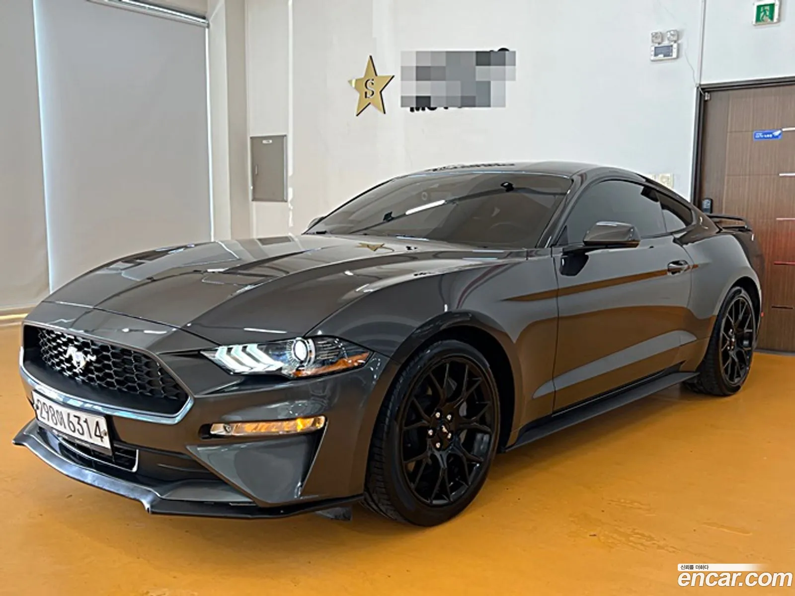 Ford Mustang Coupe - фотография 18059678