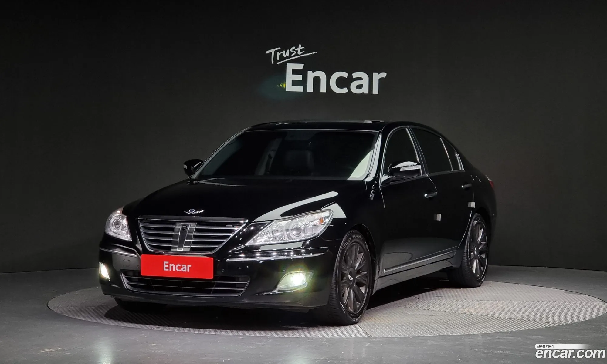 Equus Js380 Premier Vip - фотография 5086127