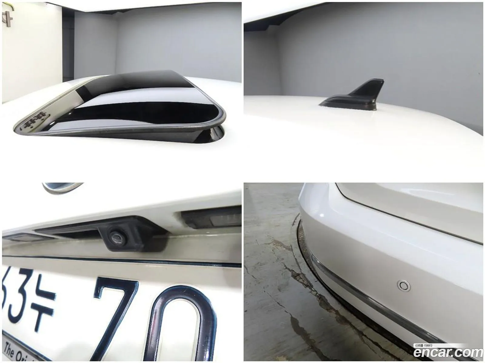 Korex Auto Trade - фотография 12554610