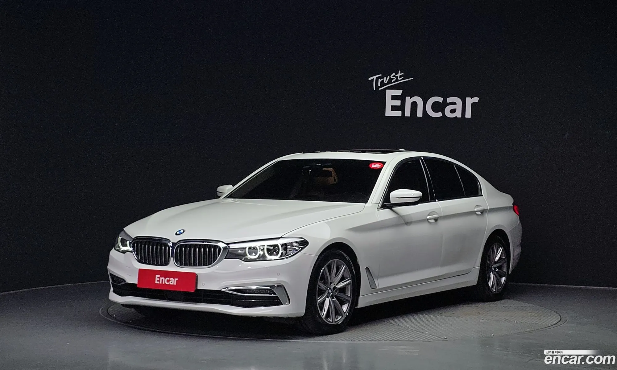 BMW 5 Series G30 520I Luxury - фотография 173136