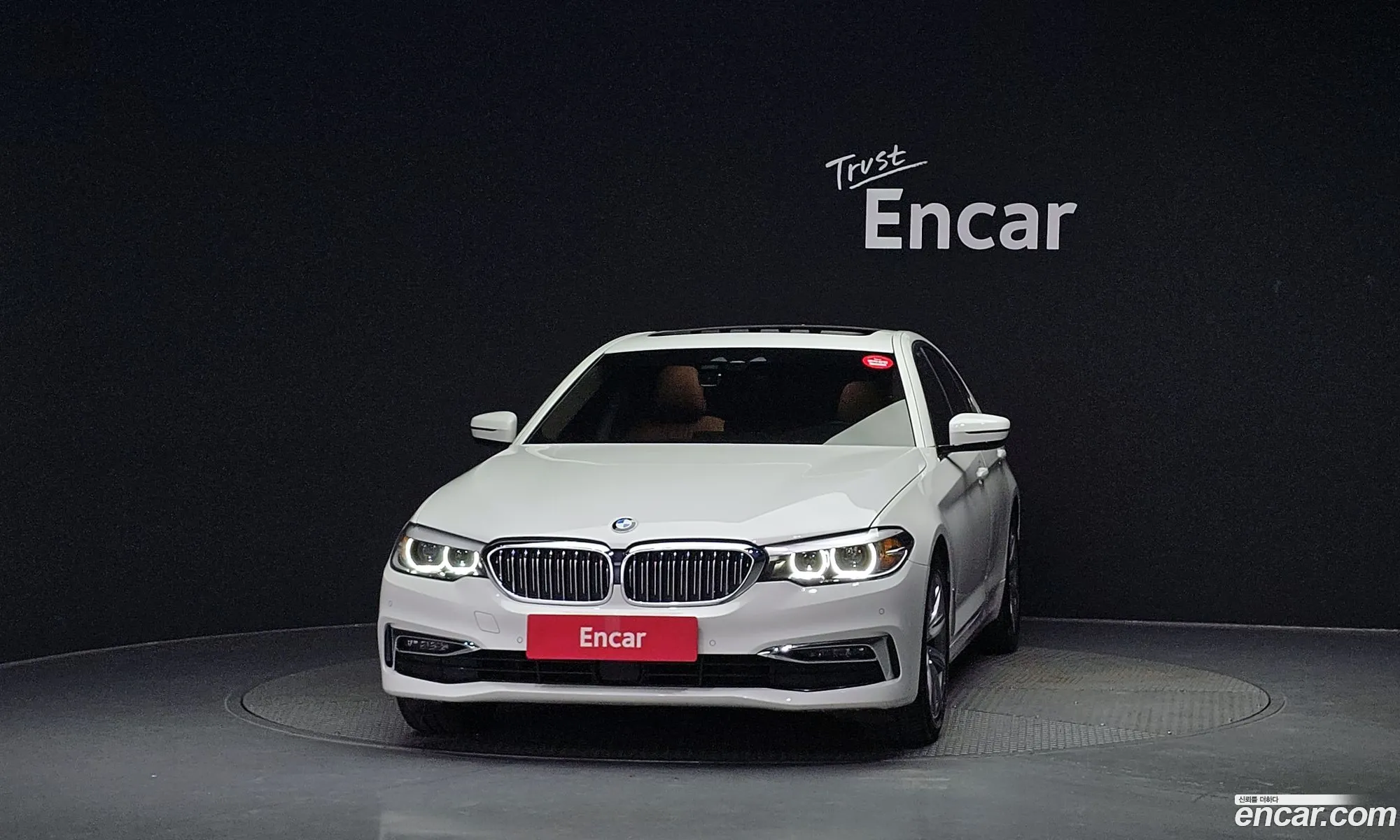 BMW 5 Series G30 520I Luxury - фотография 173138