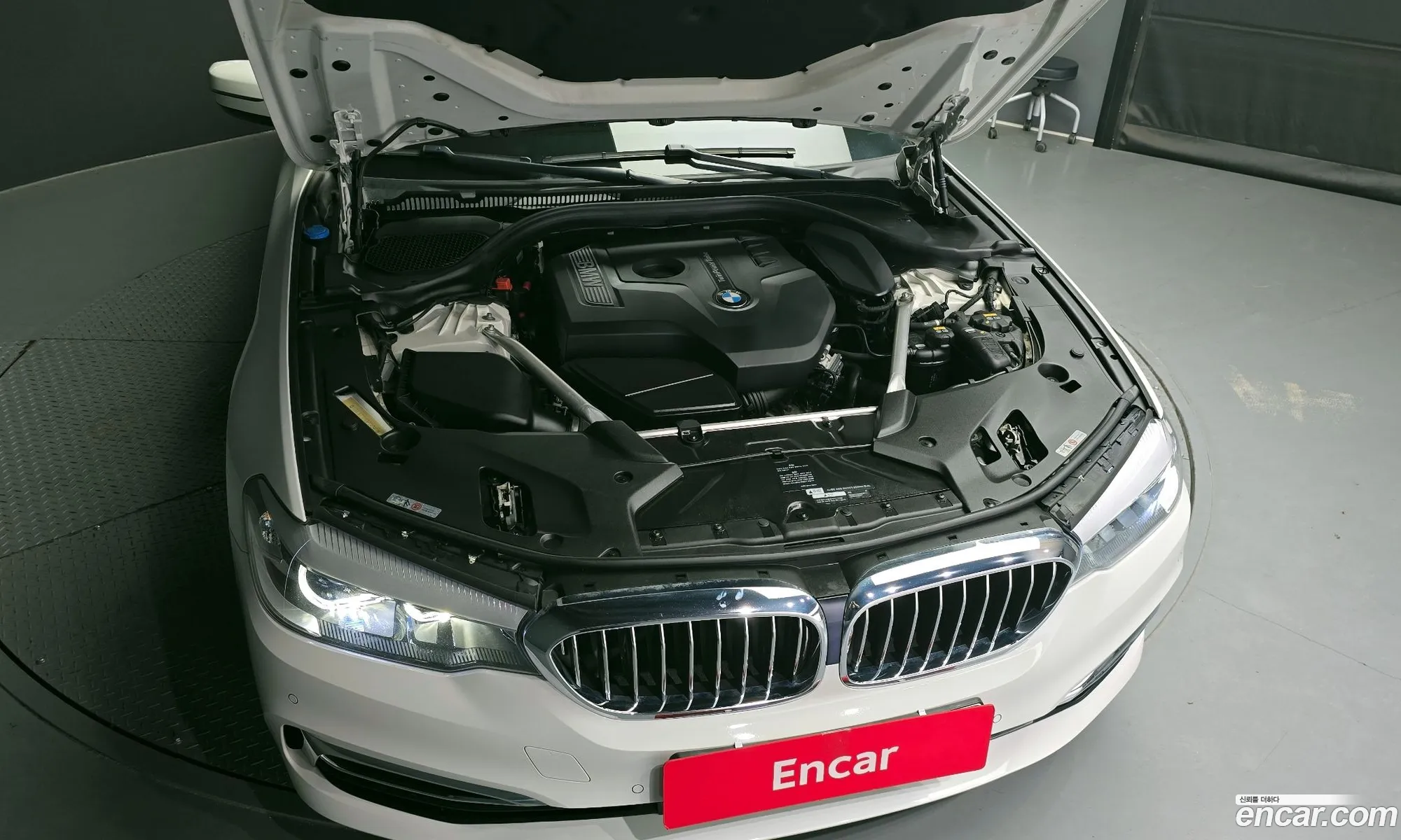 BMW 5 Series G30 520I Luxury - фотография 173141
