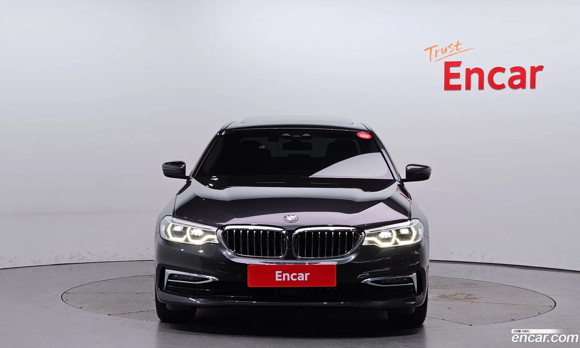 BMW 5 Series G30 530I Luxury Plus - фотография 173125