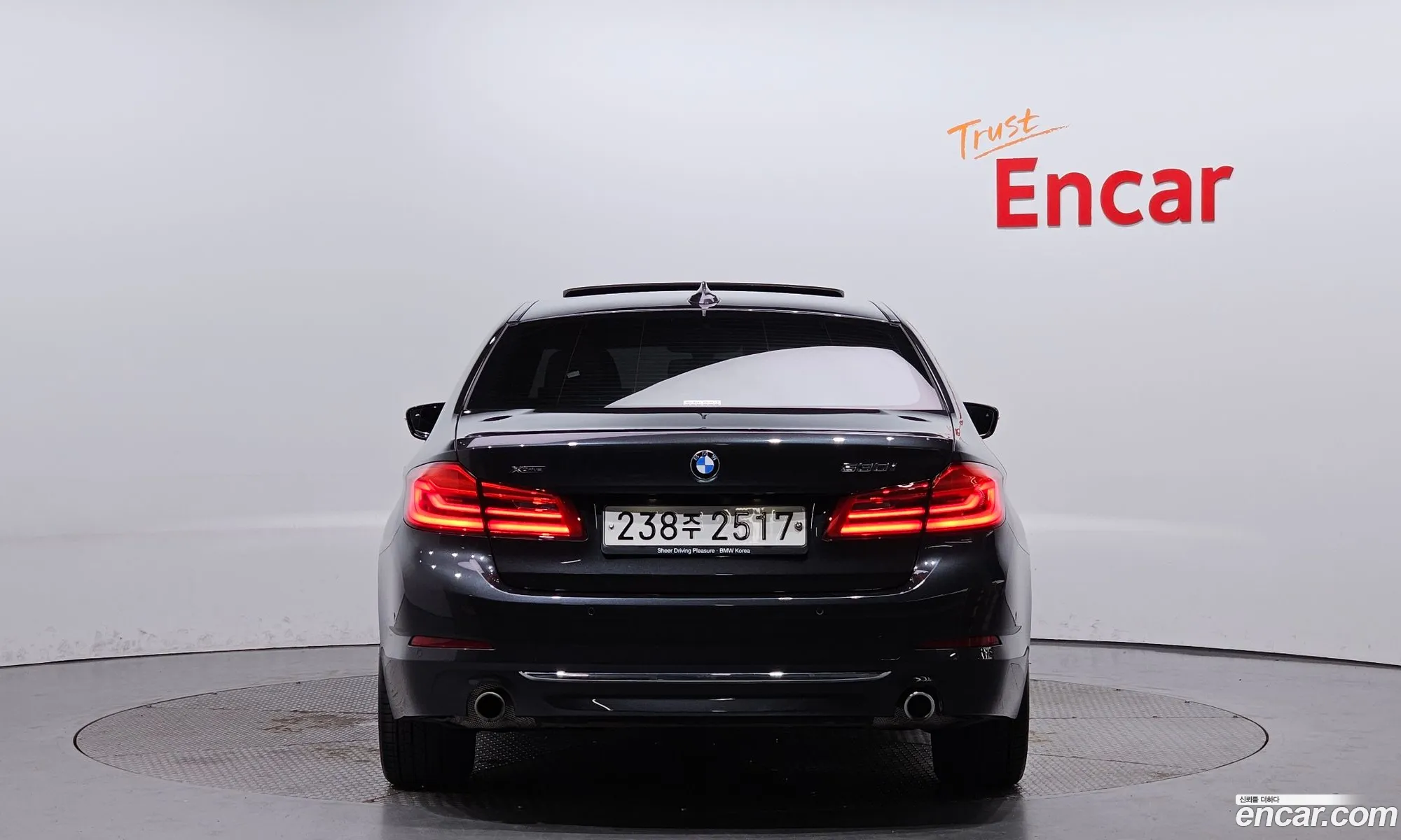 BMW 5 Series G30 530I Luxury Plus - фотография 173126
