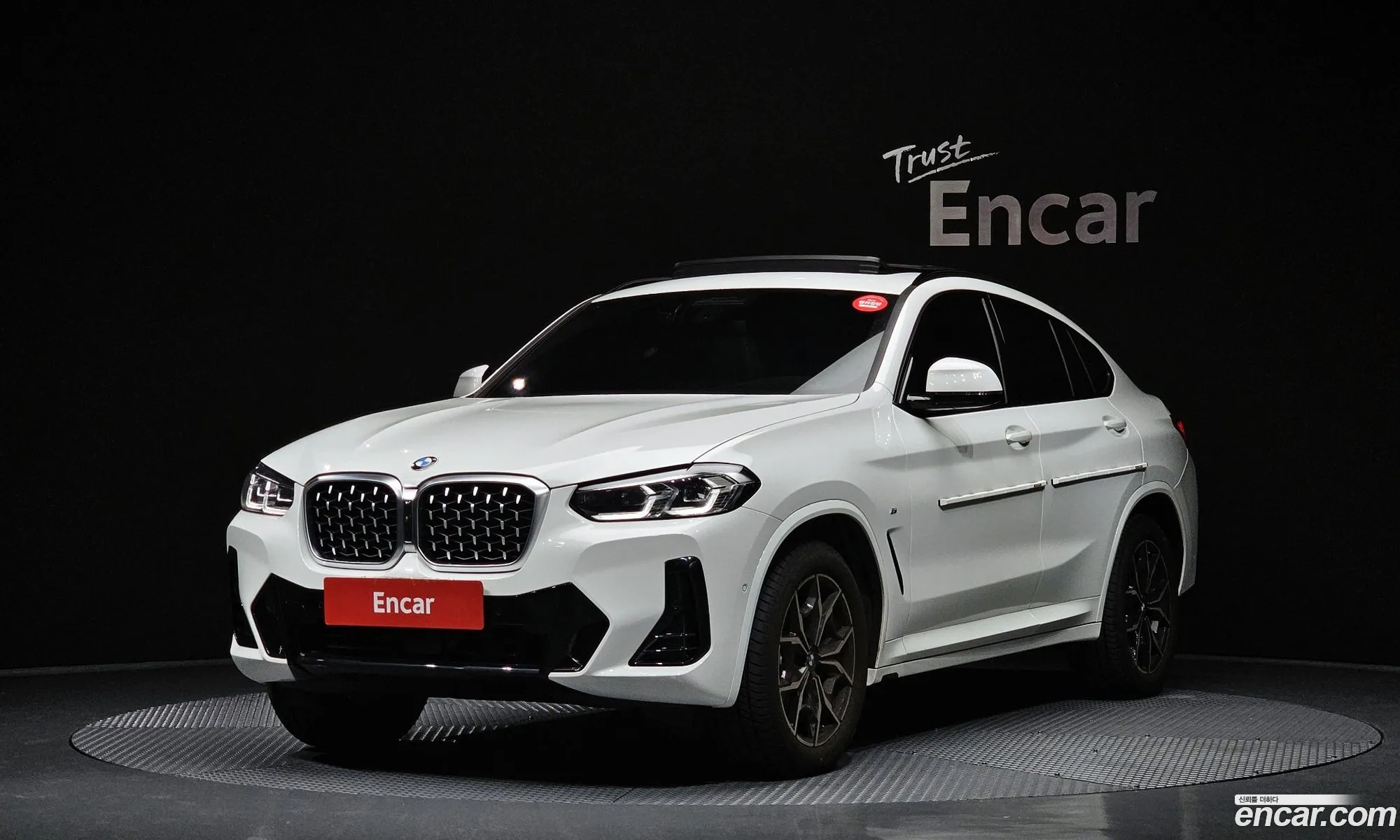 BMW X4 G02 xDrive20I M Sports - фотография 173172