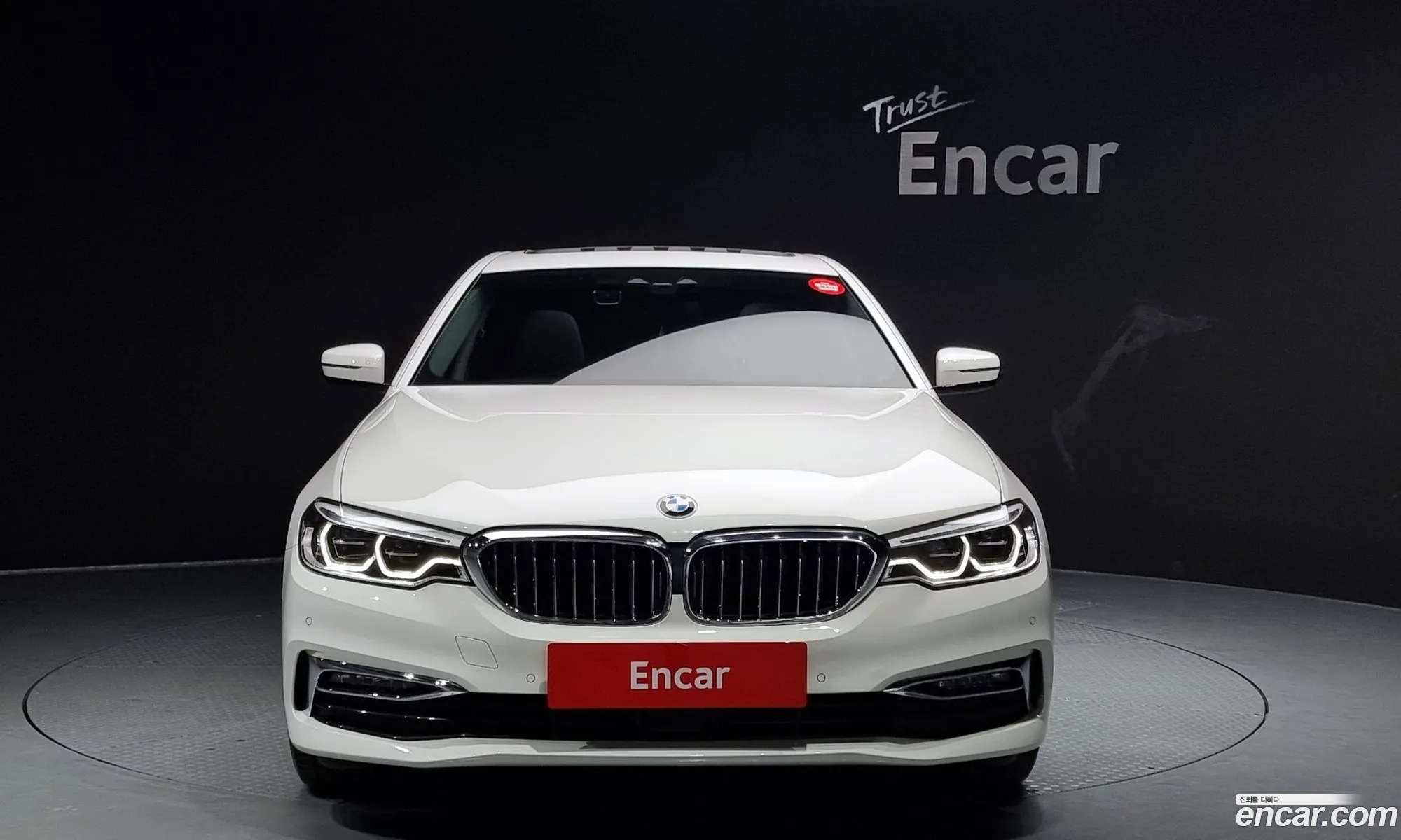 BMW 5 Series G30 530I Luxury Plus - фотография 208415