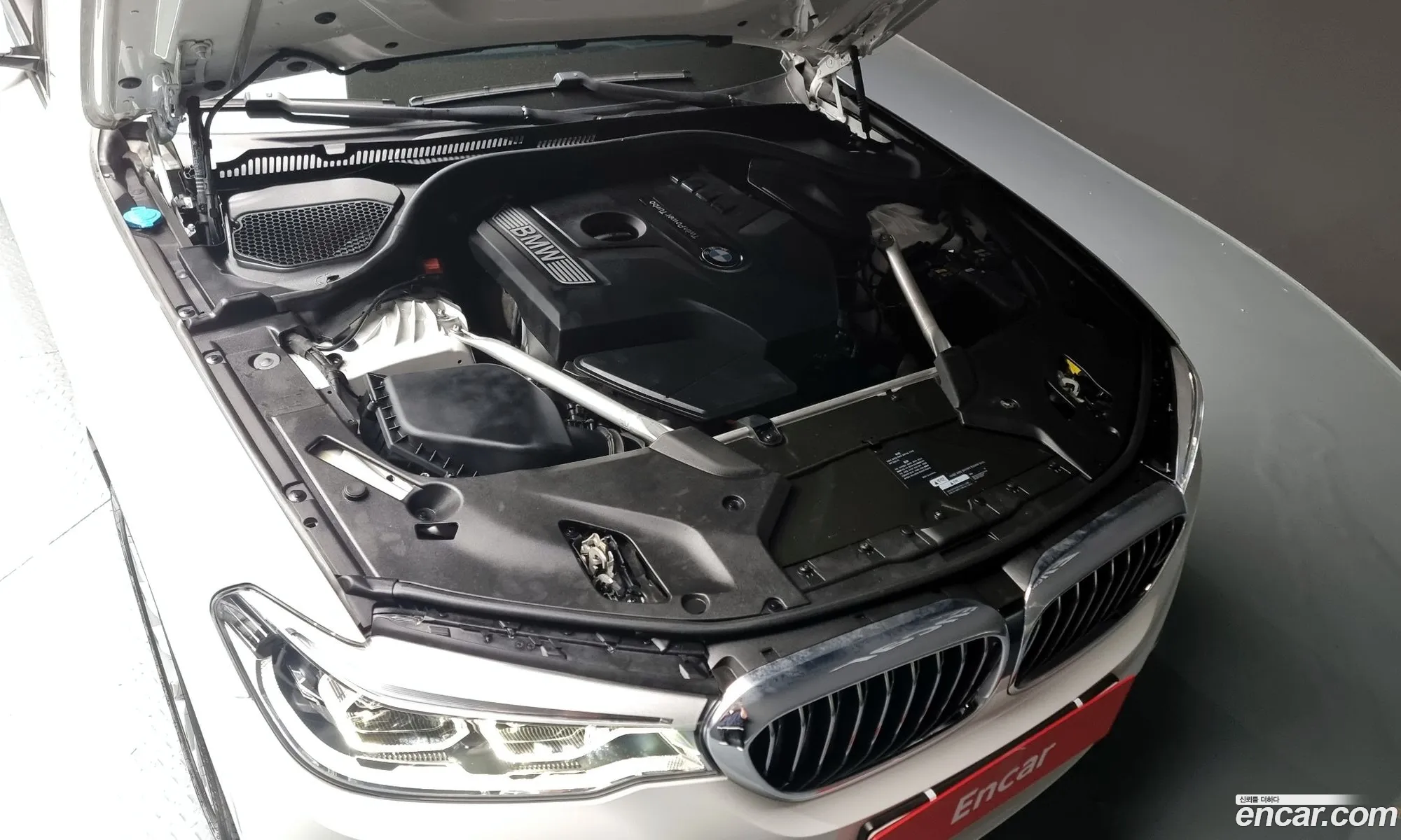 BMW 5 Series G30 530I Luxury Plus - фотография 208418