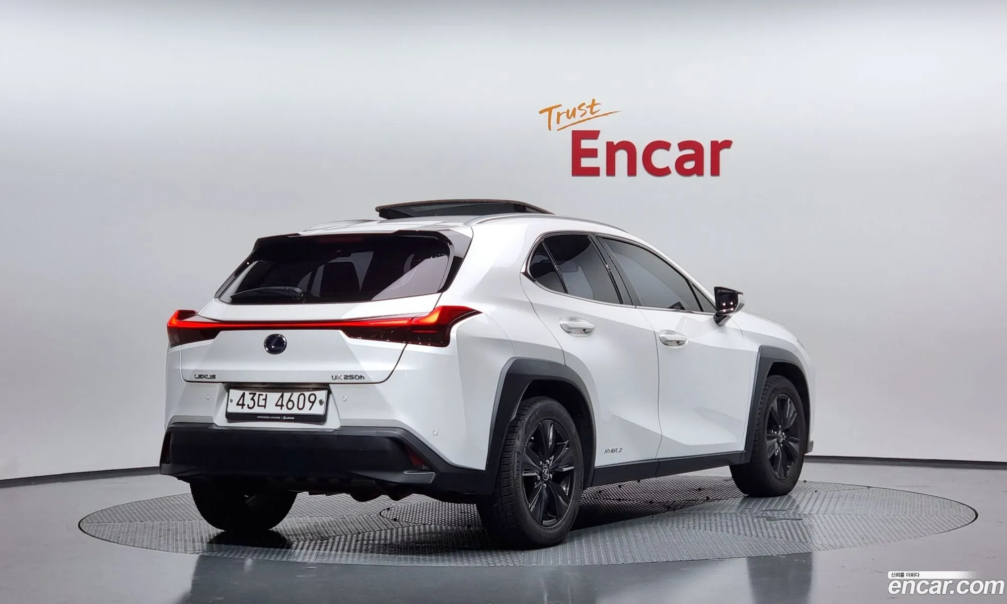 Lexus Ux250H 20 2Wd - фотография 6539276