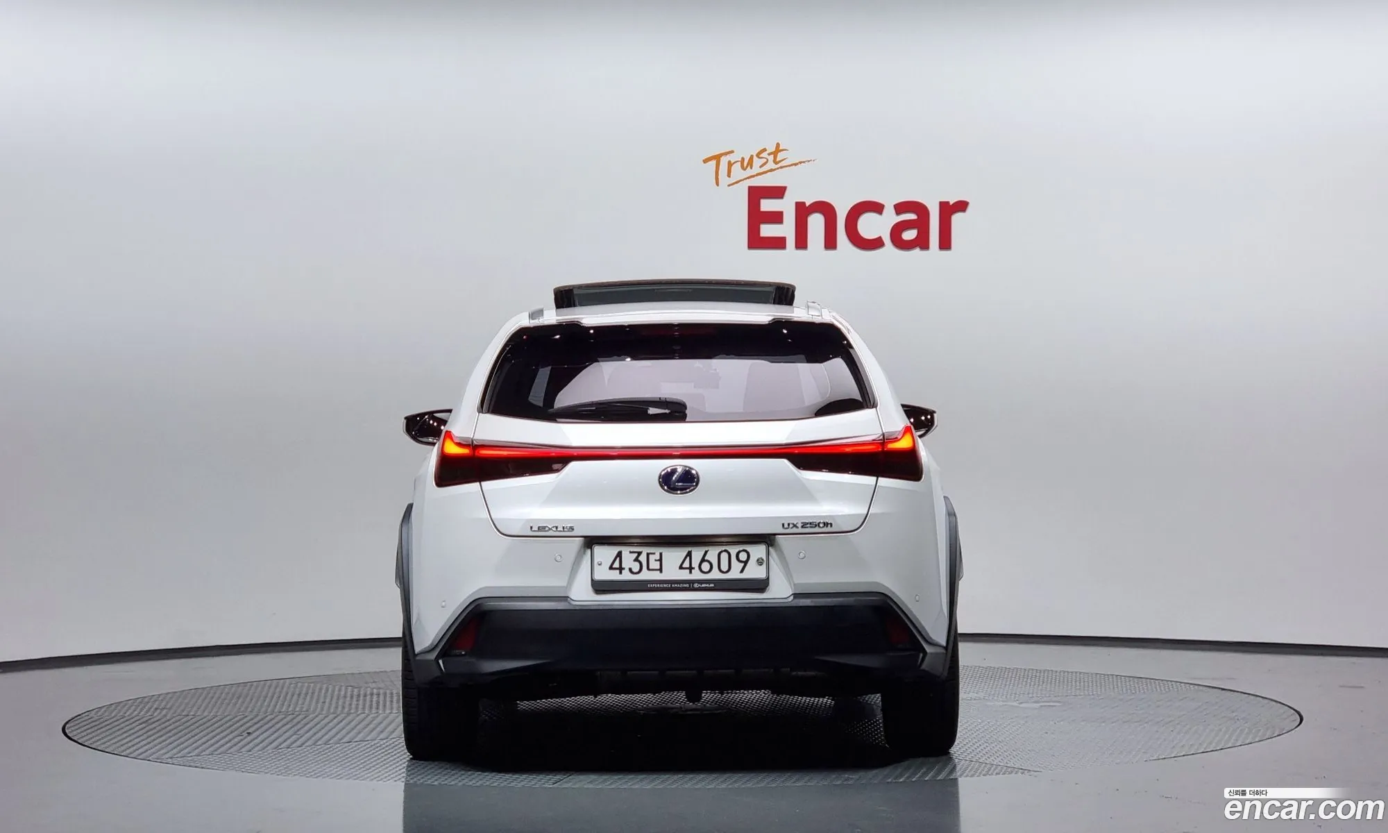Lexus Ux250H 20 2Wd - фотография 6539278