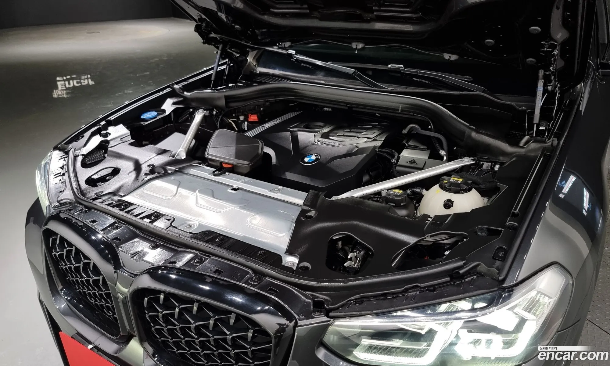 BMW X4 G02 xDrive20I M Sports - фотография 204138