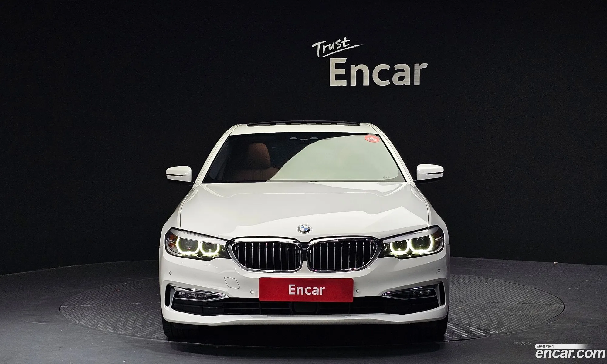 BMW 5 Series G30 520I Luxury - фотография 204171