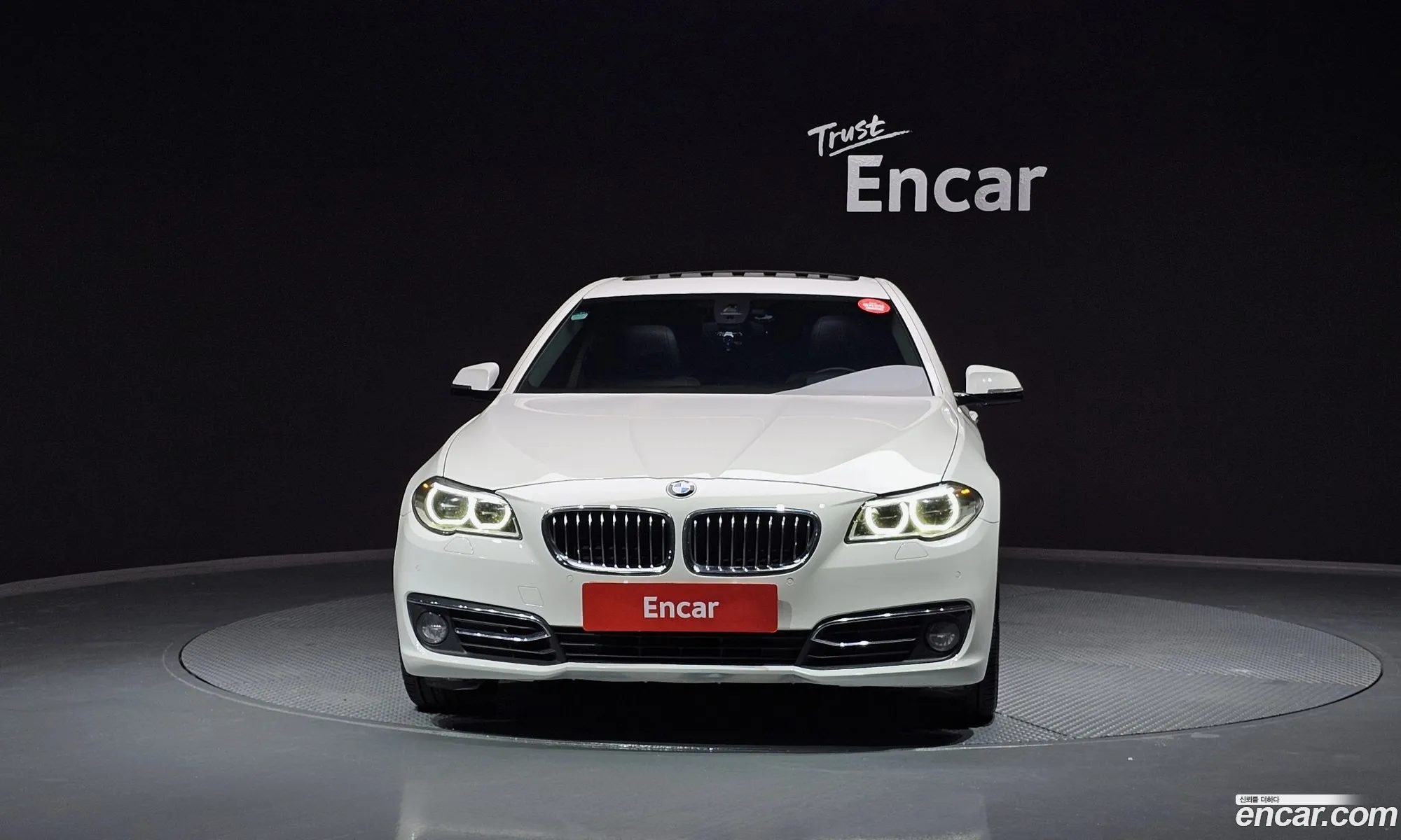 BMW 5 Series F10 520D Luxury - фотография 203762