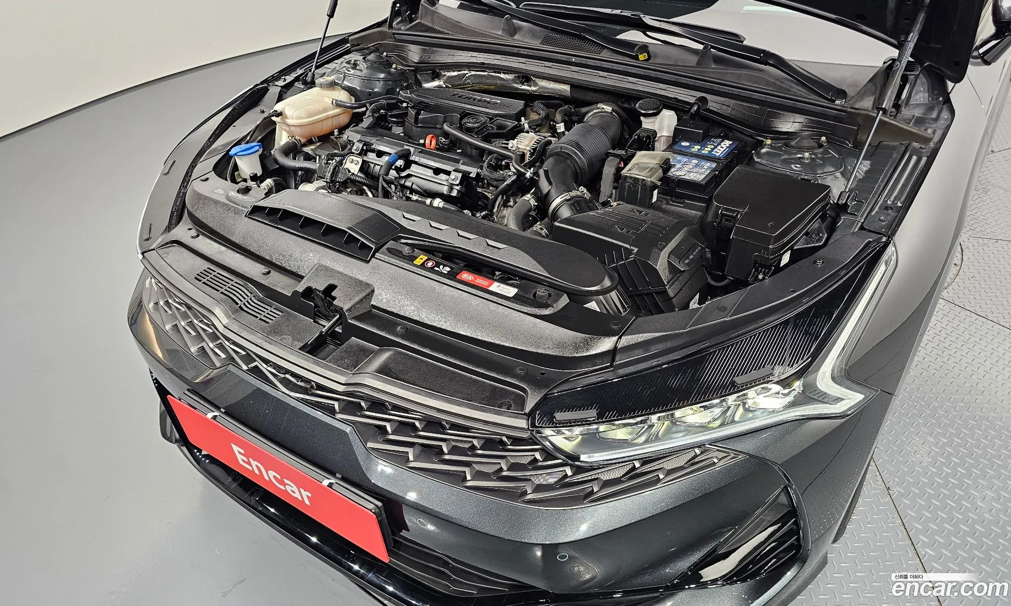 Korex Auto Trade - фотография 11263589