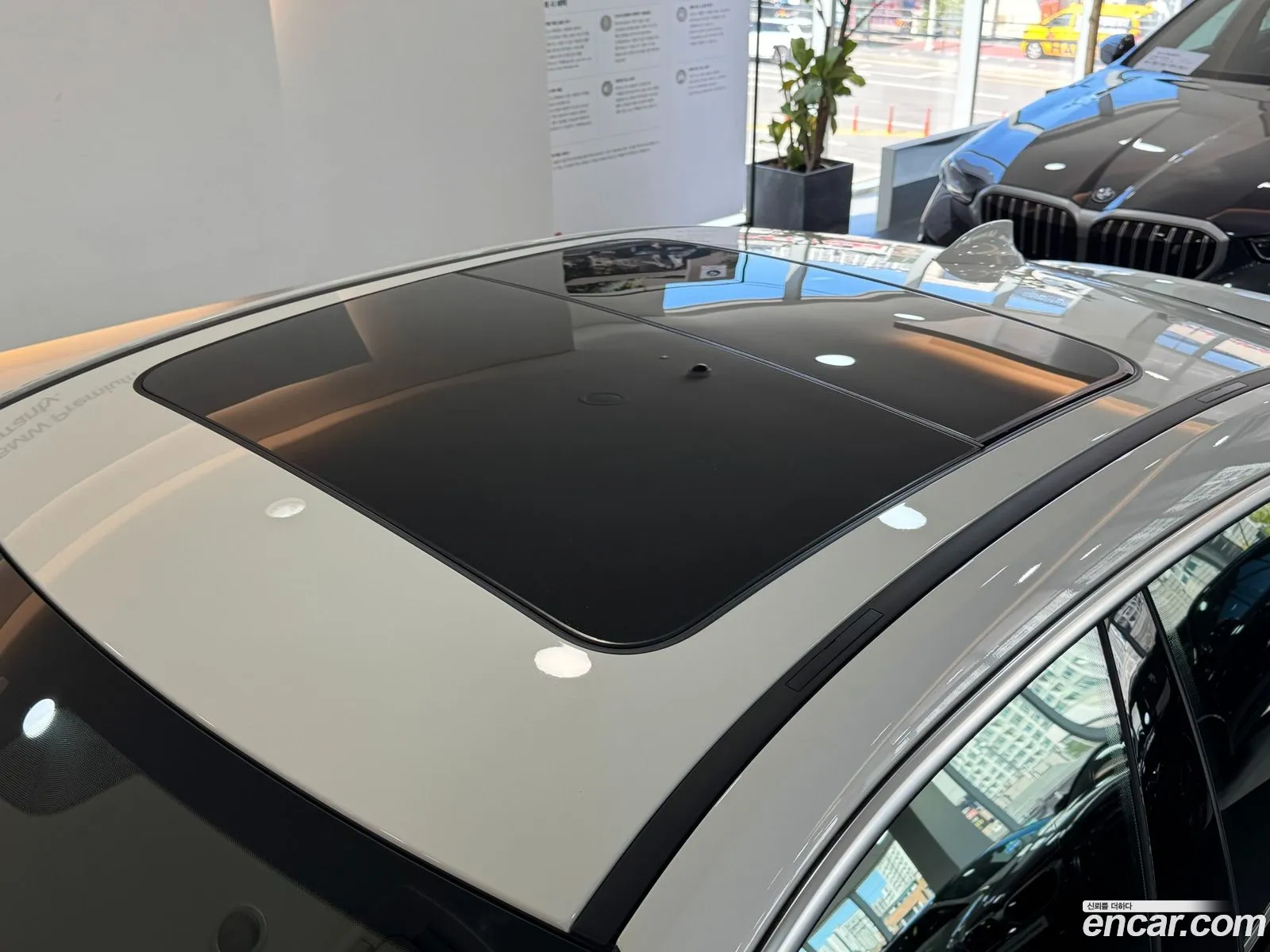 Korex Auto Trade - фотография 332351