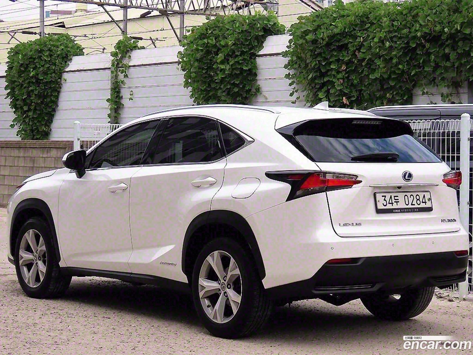 Korex Auto Trade - фотография 3498471