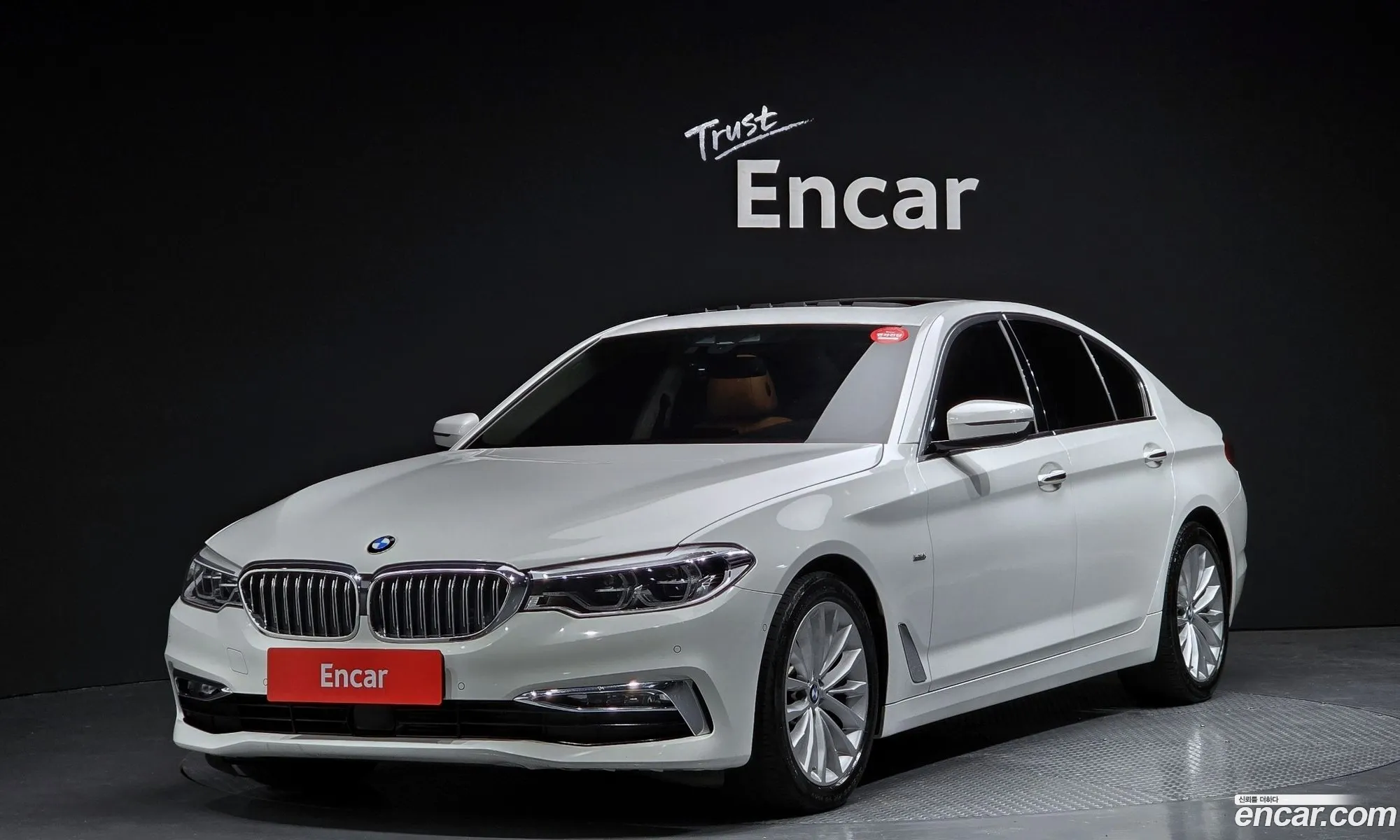 BMW 5 Series G30 520D Luxury Special Edition - фотография 951412