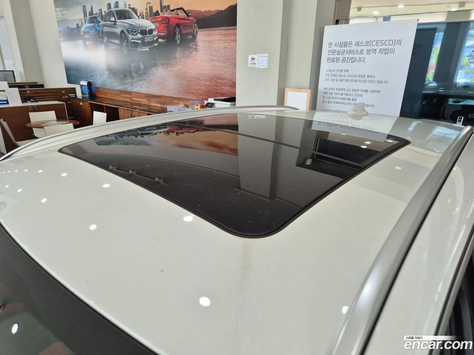 Korex Auto Trade - фотография 737342