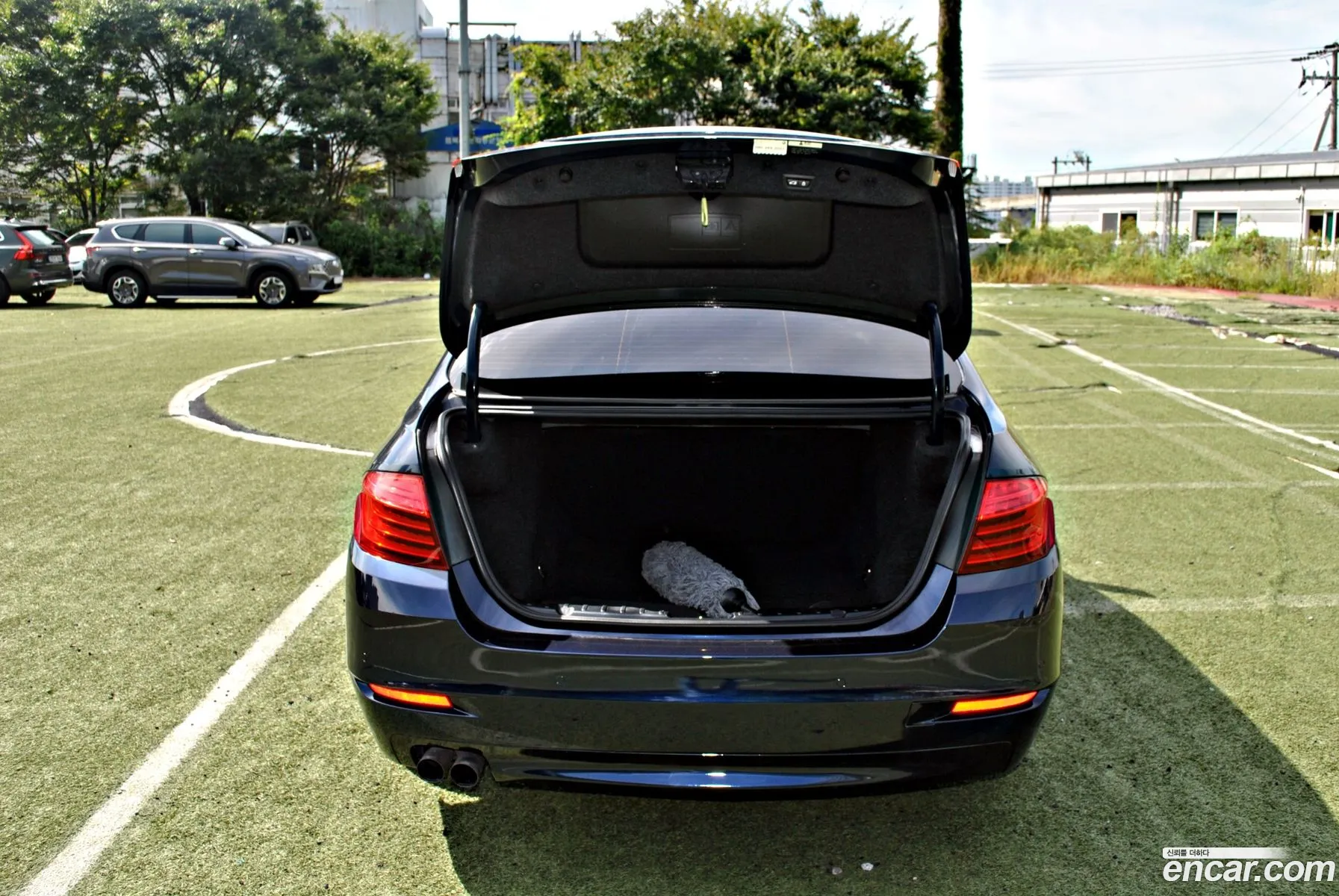 BMW 5 Series F10 520D xDrive - фотография 733897