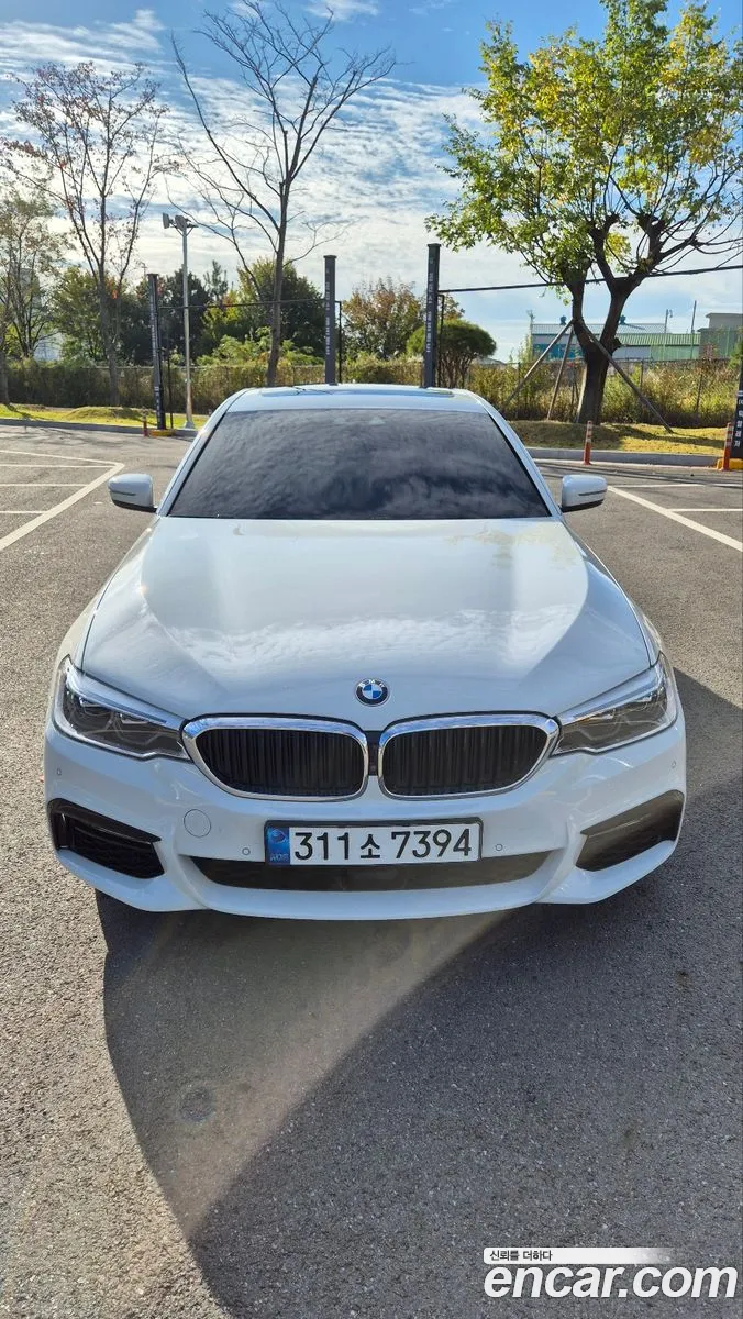 BMW 5 Series G30 530D M Sports Plus - фотография 733858