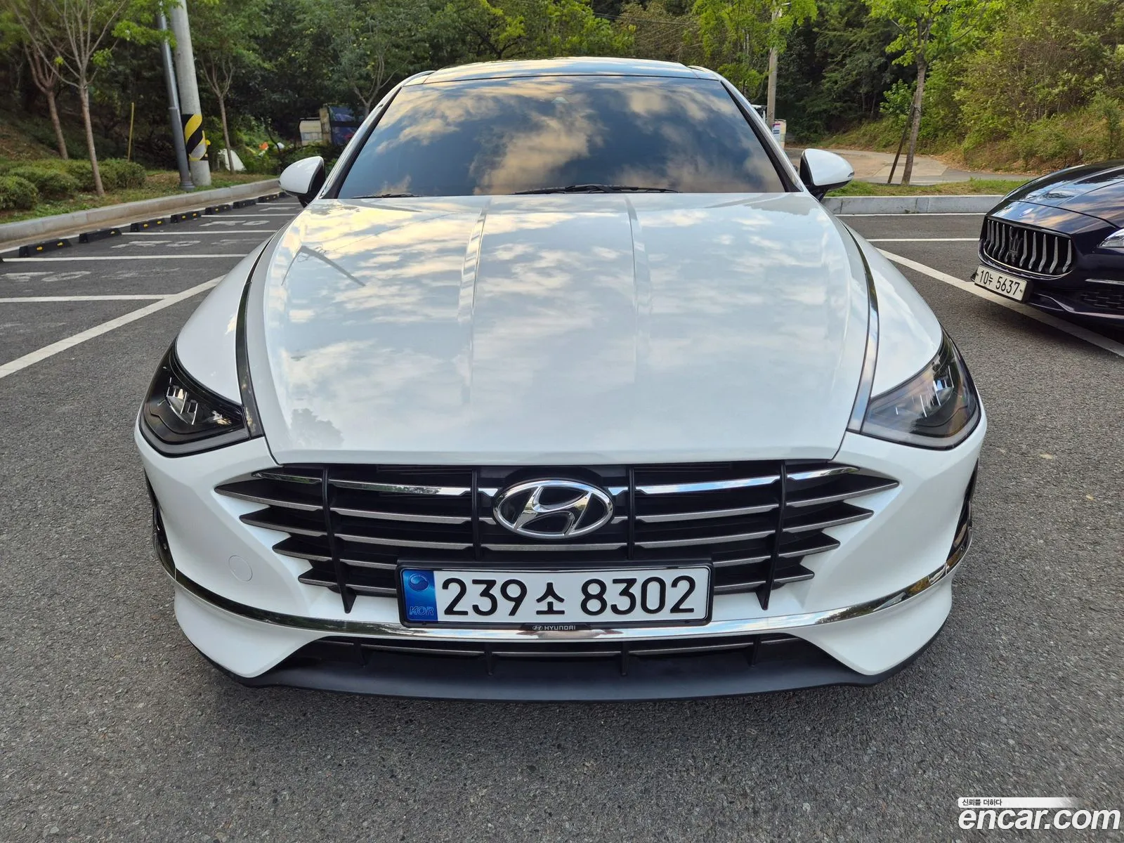 Sonata Dn8 20 Premium - фотография 11600255